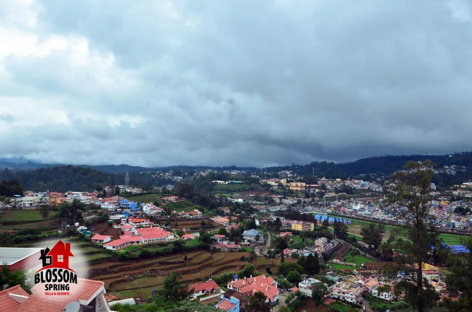 City view in Blossom Spring