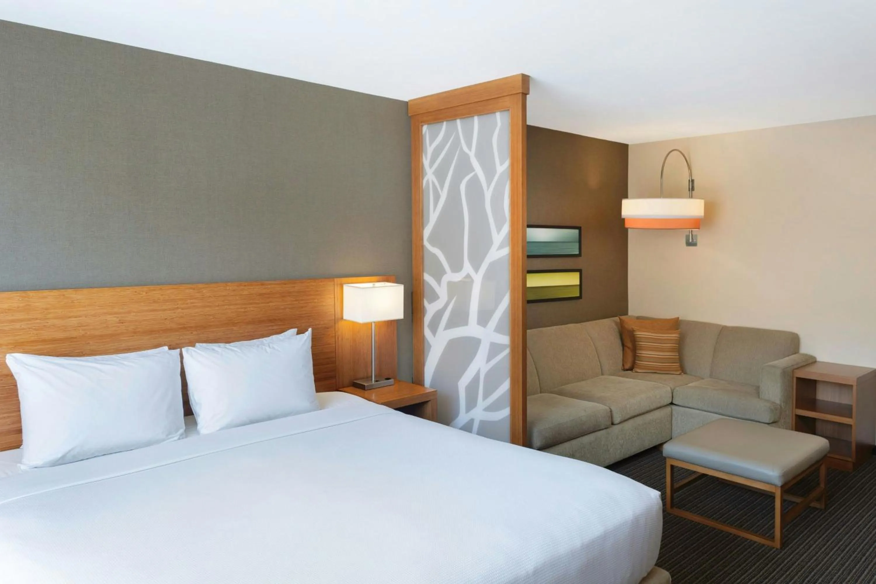 Photo of the whole room, Bed in Hyatt Place La Paz