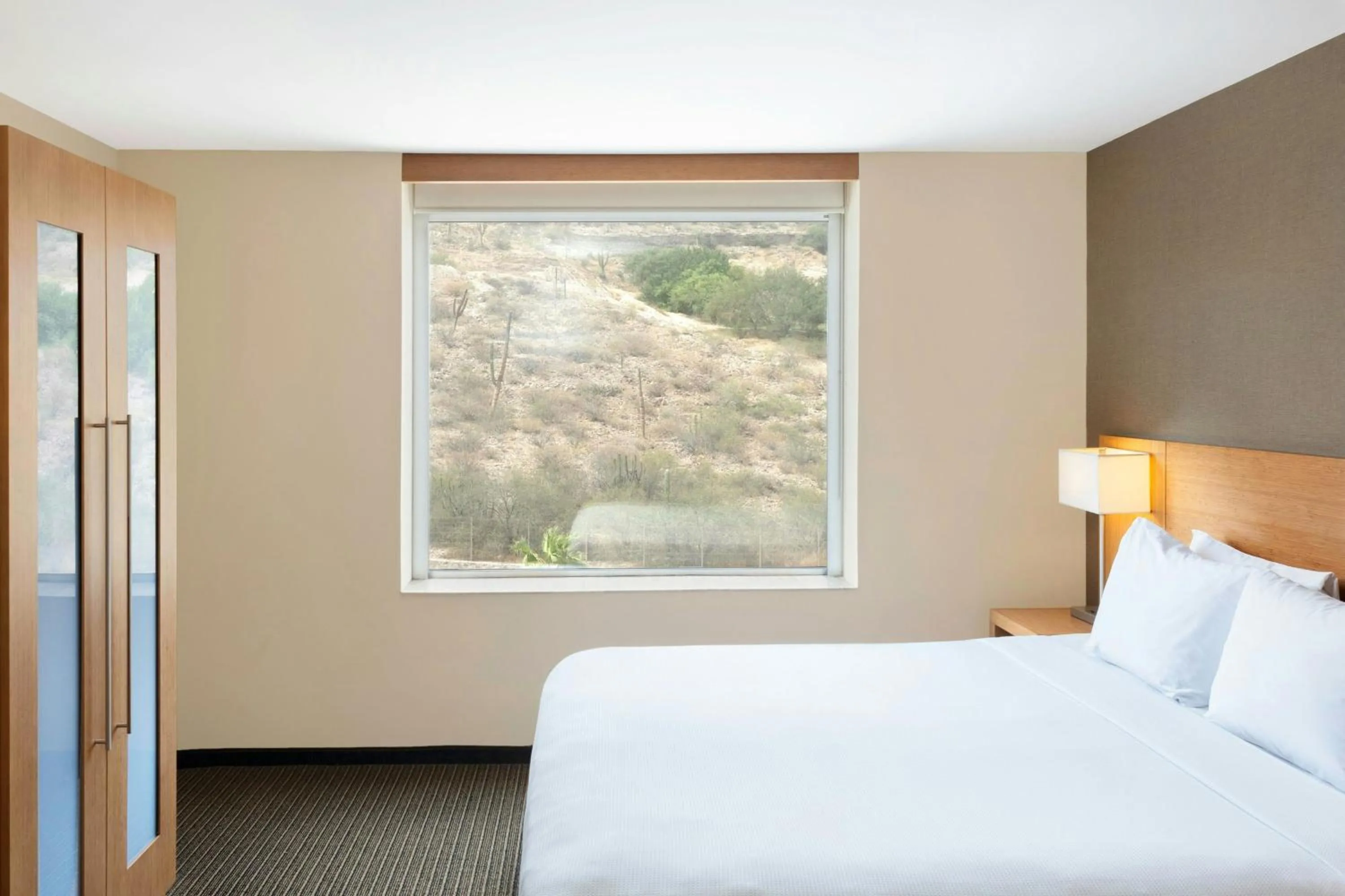 Photo of the whole room, Bed in Hyatt Place La Paz