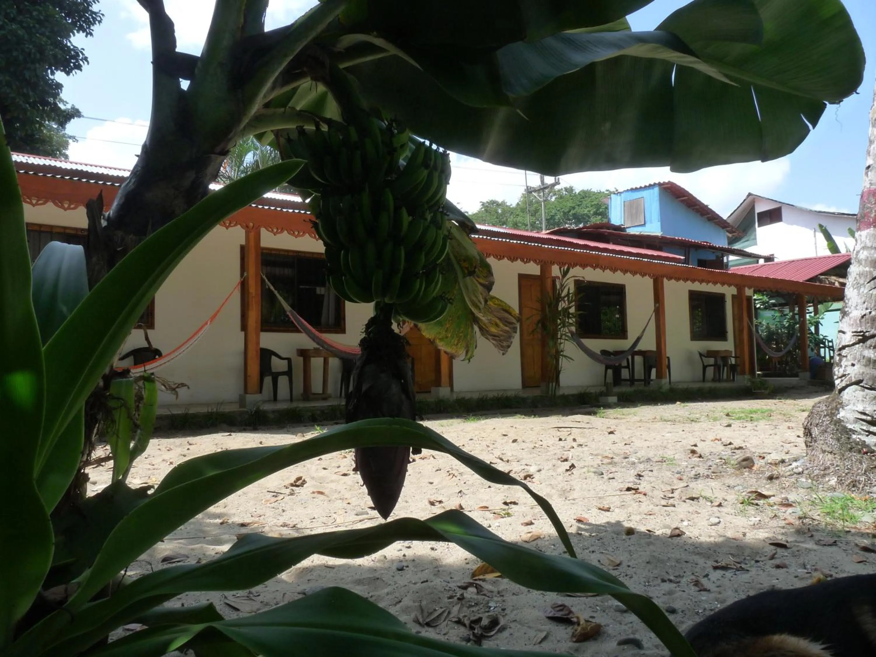Facade/entrance in Yucca Beachfront Hotel