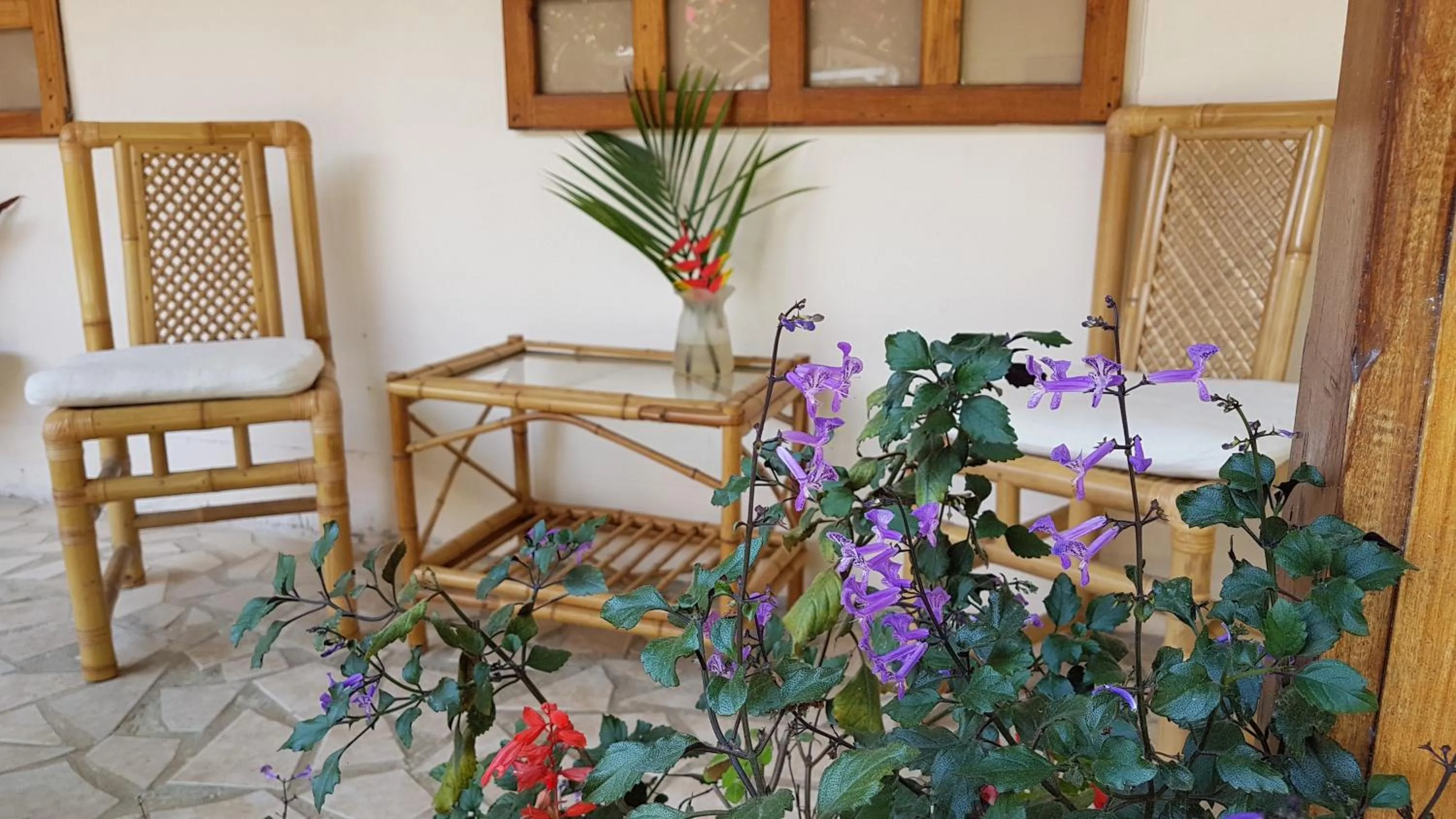 Other in Yucca Beachfront Hotel