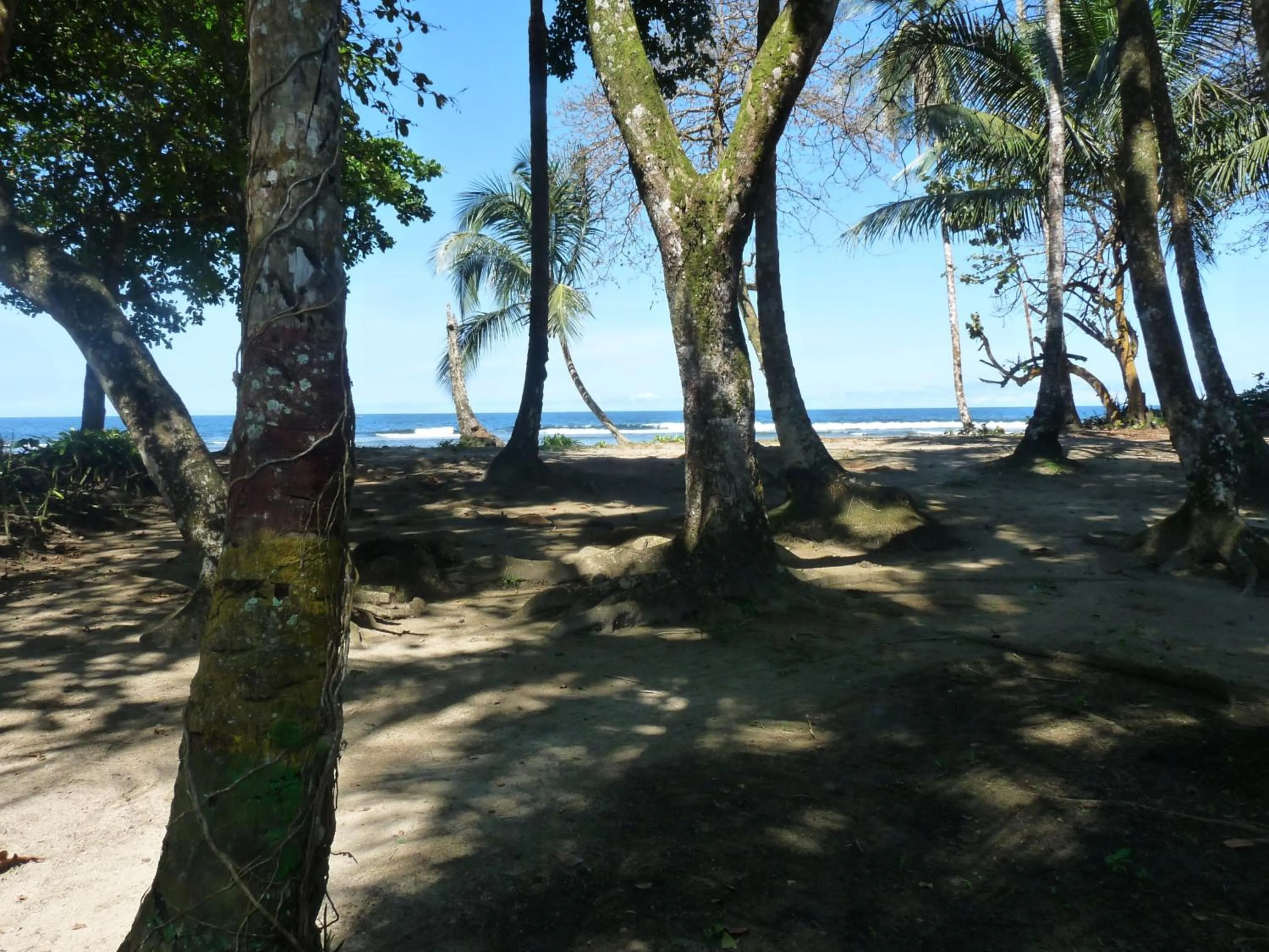 Facade/entrance in Yucca Beachfront Hotel