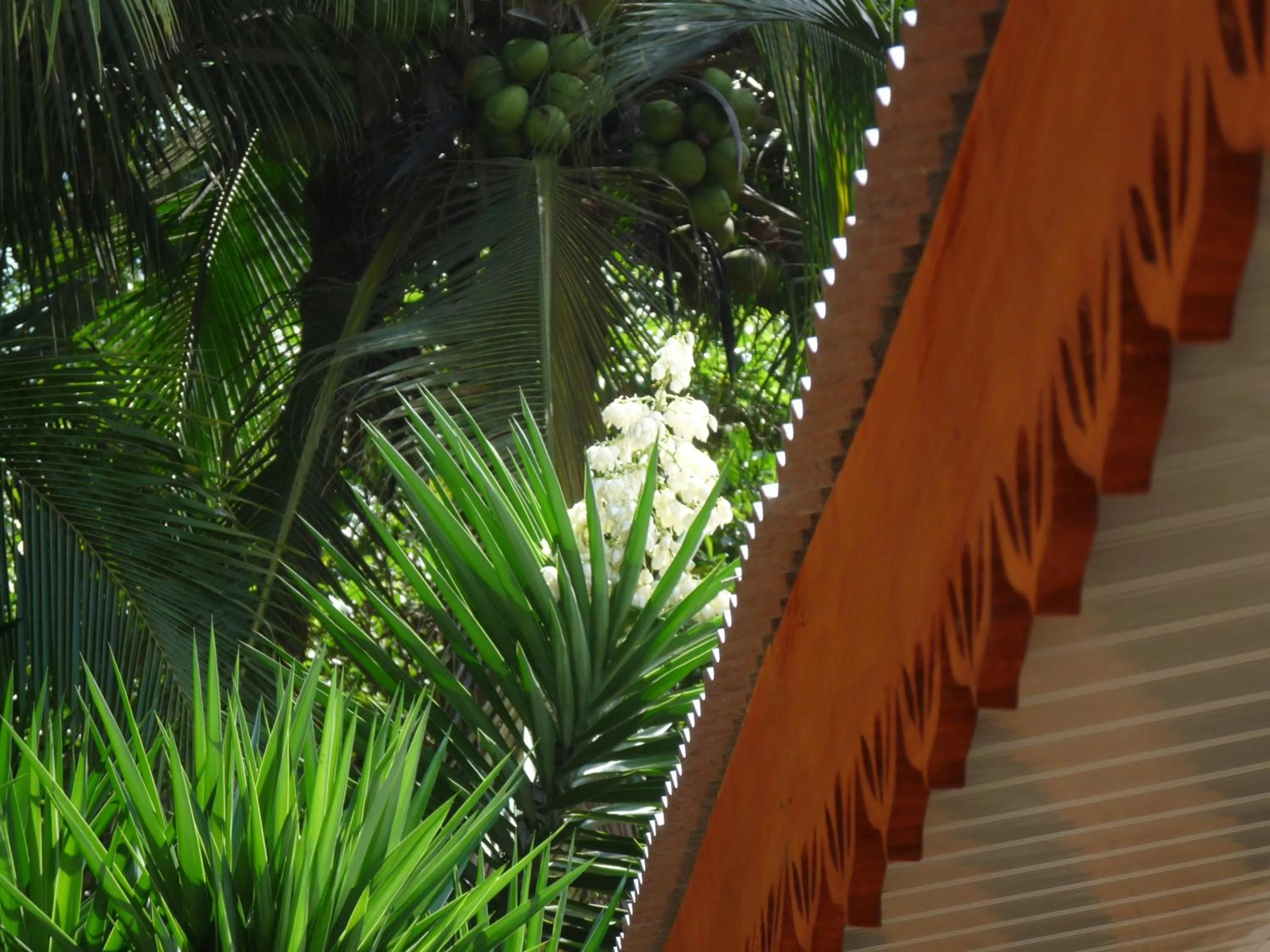 Facade/entrance in Yucca Beachfront Hotel