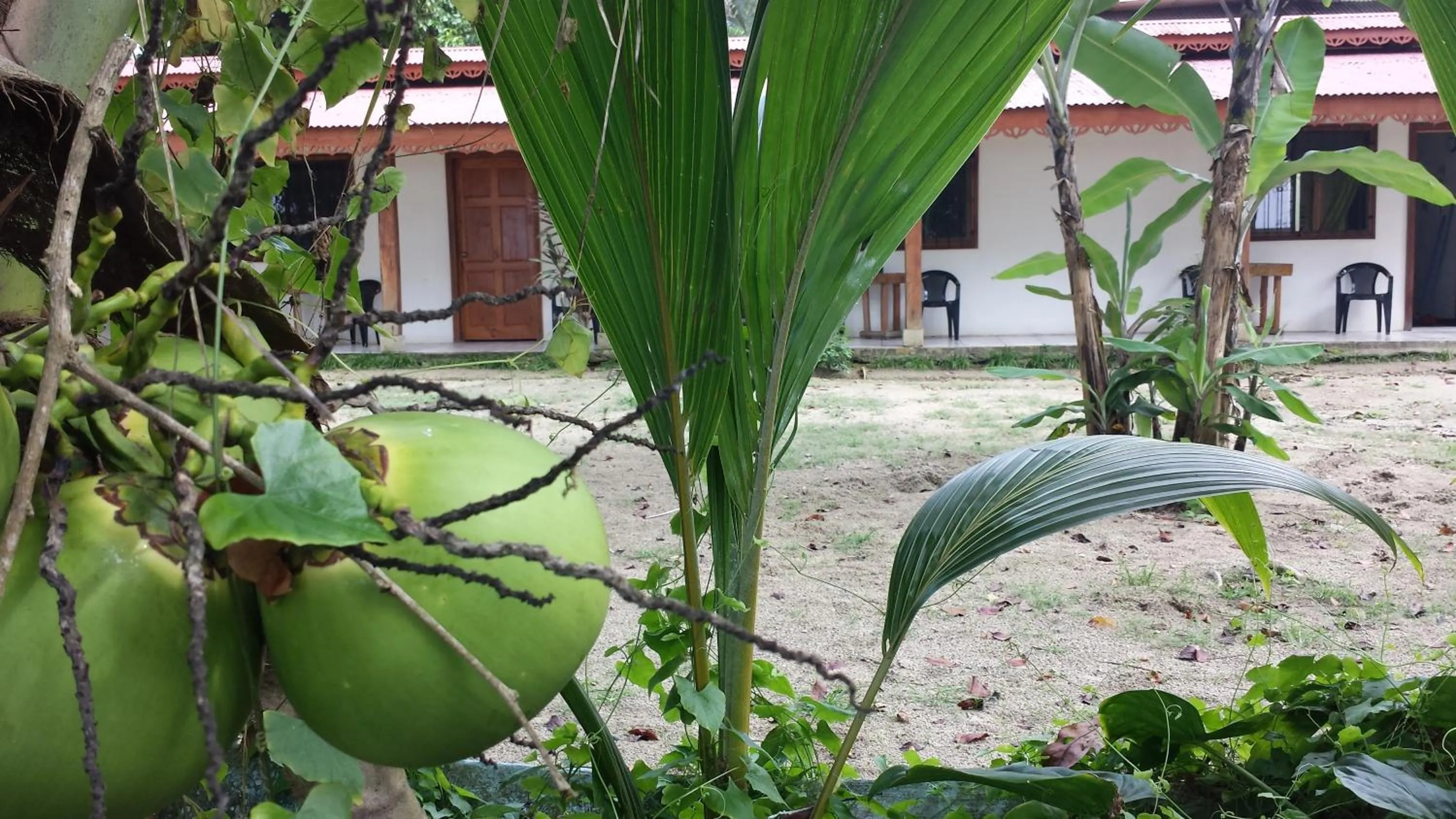Property building in Yucca Beachfront Hotel
