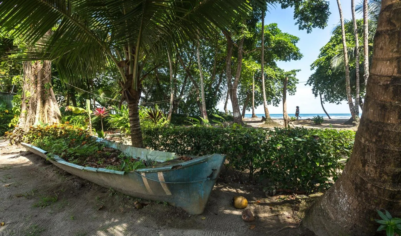 Beach in Yucca Beachfront Hotel