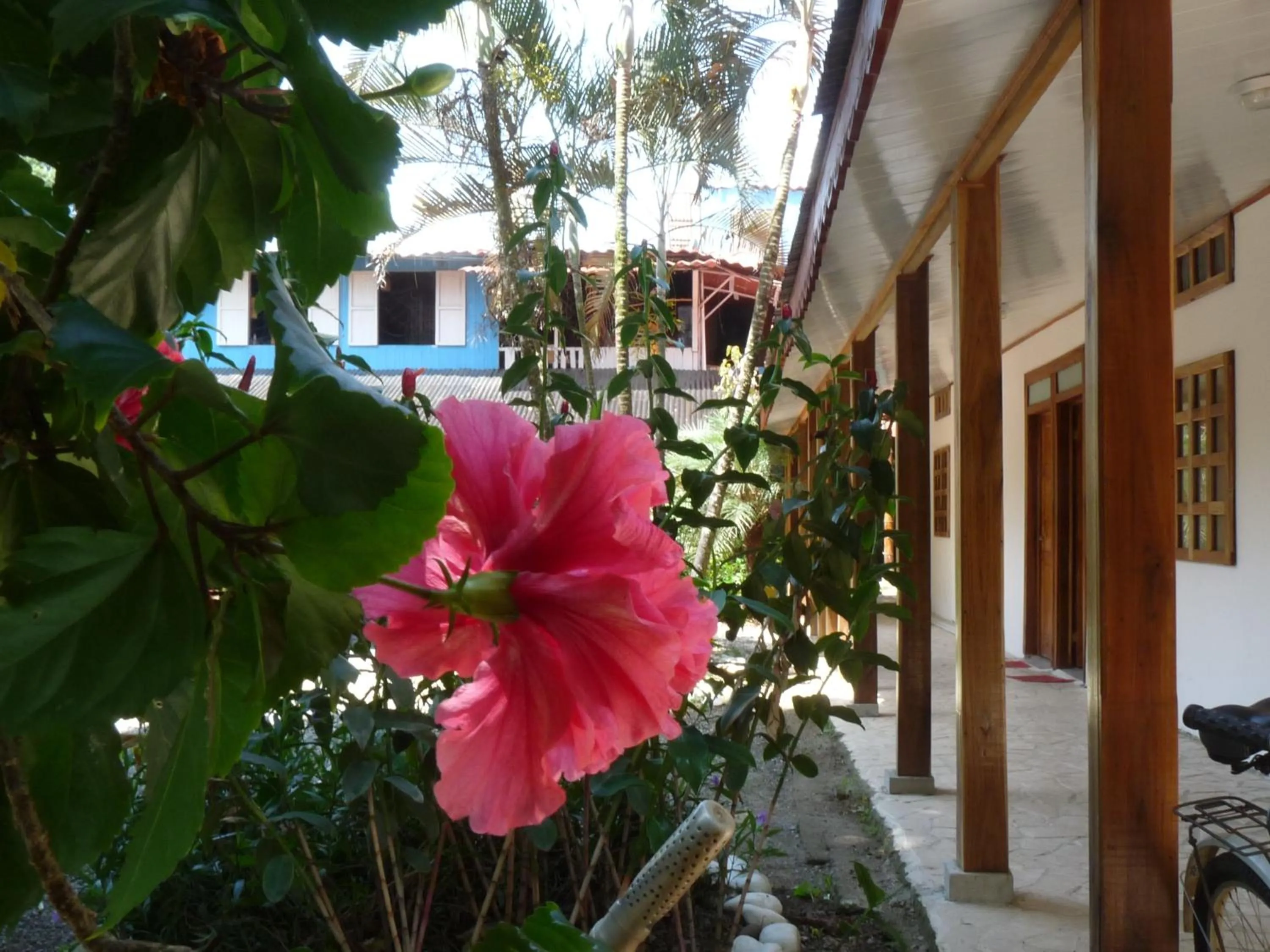 Facade/entrance in Yucca Beachfront Hotel