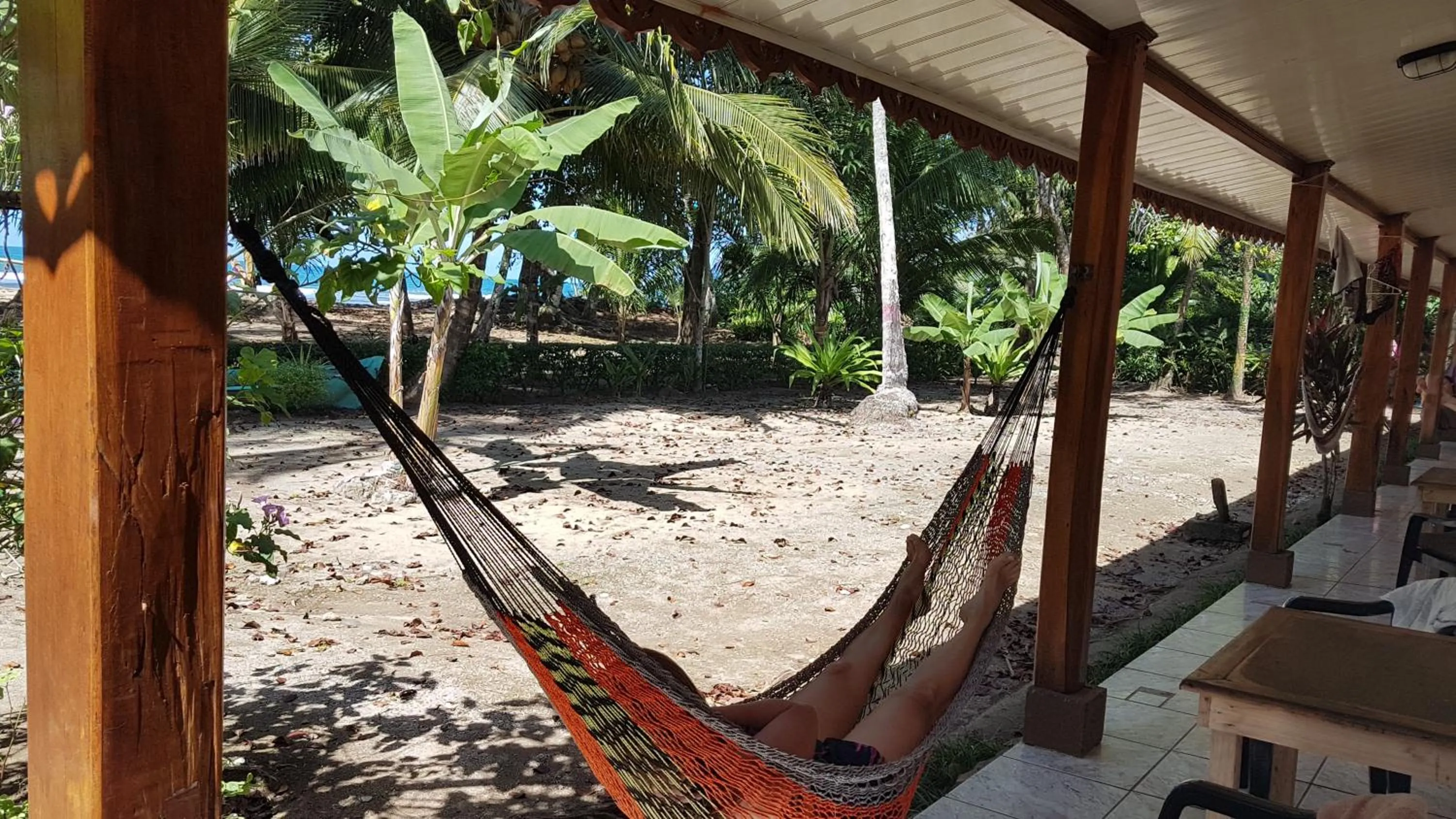 Sea view in Yucca Beachfront Hotel