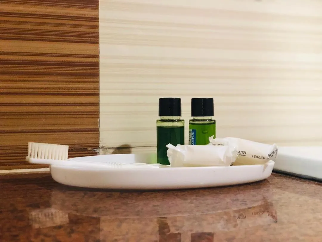 Bathroom in Hotel Amodhara