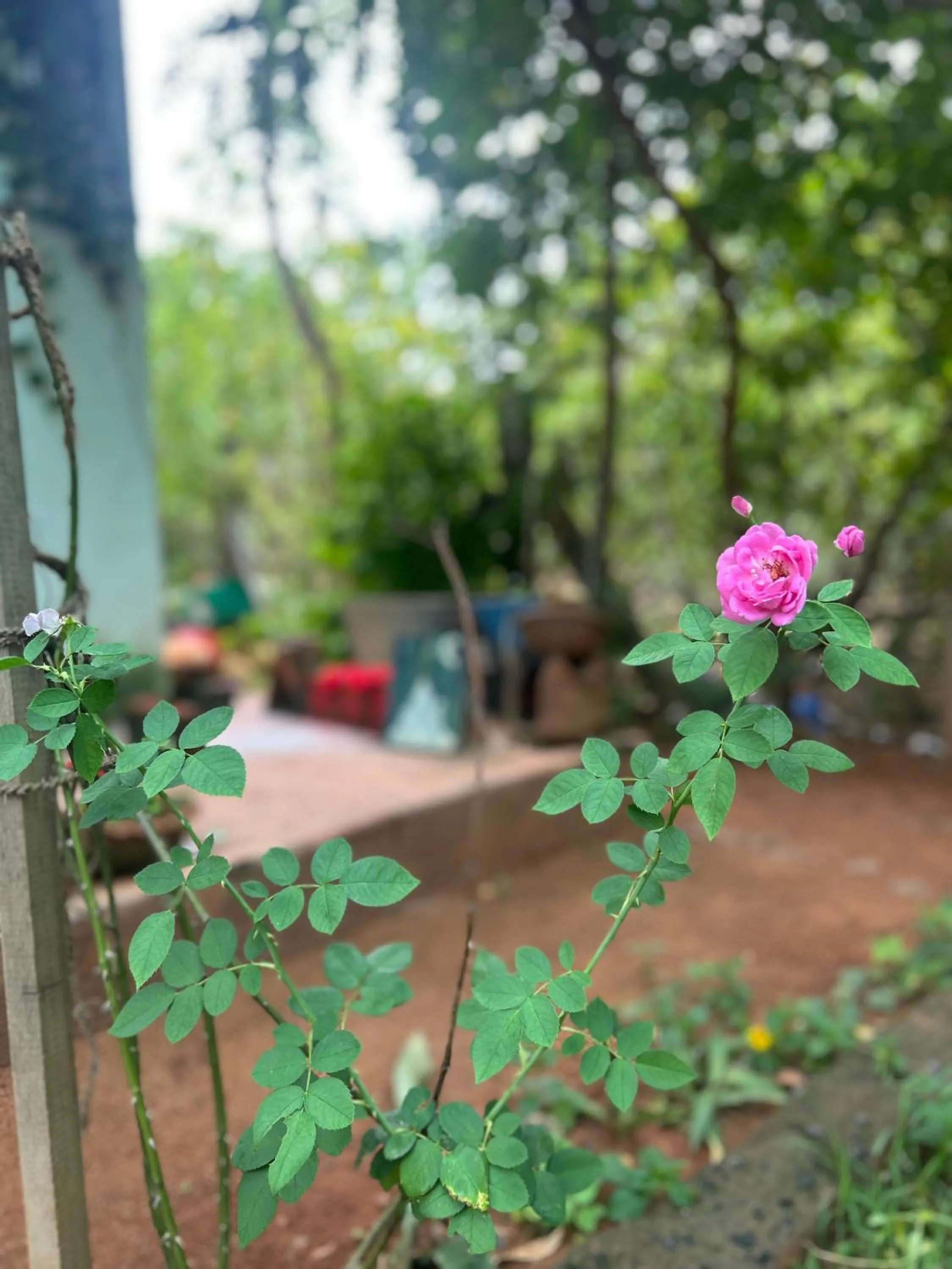 Place of worship in The Last Stop Backpackers Hostel