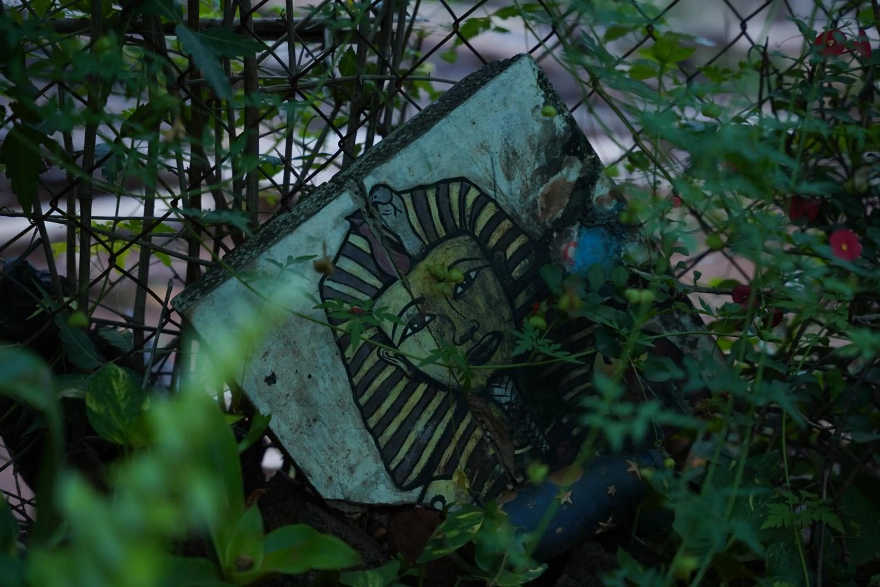 Day in The Last Stop Backpackers Hostel