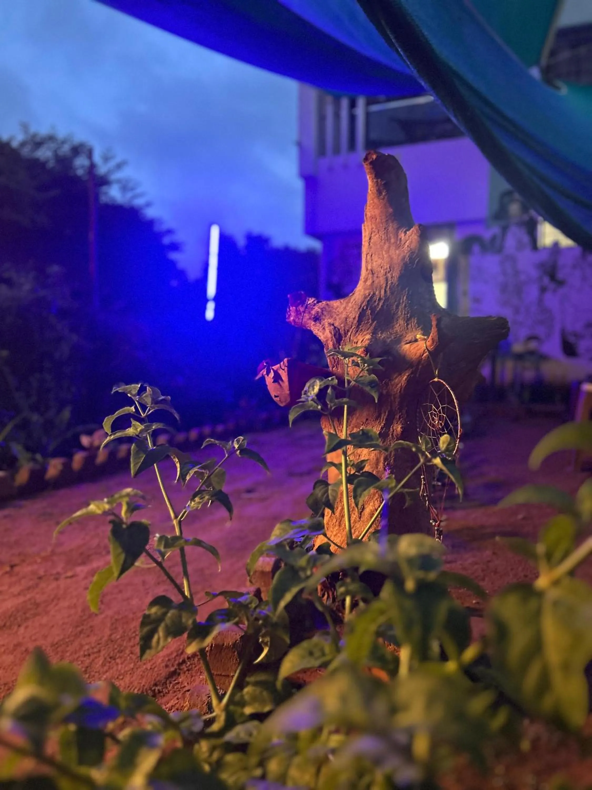 Property building in The Last Stop Backpackers Hostel