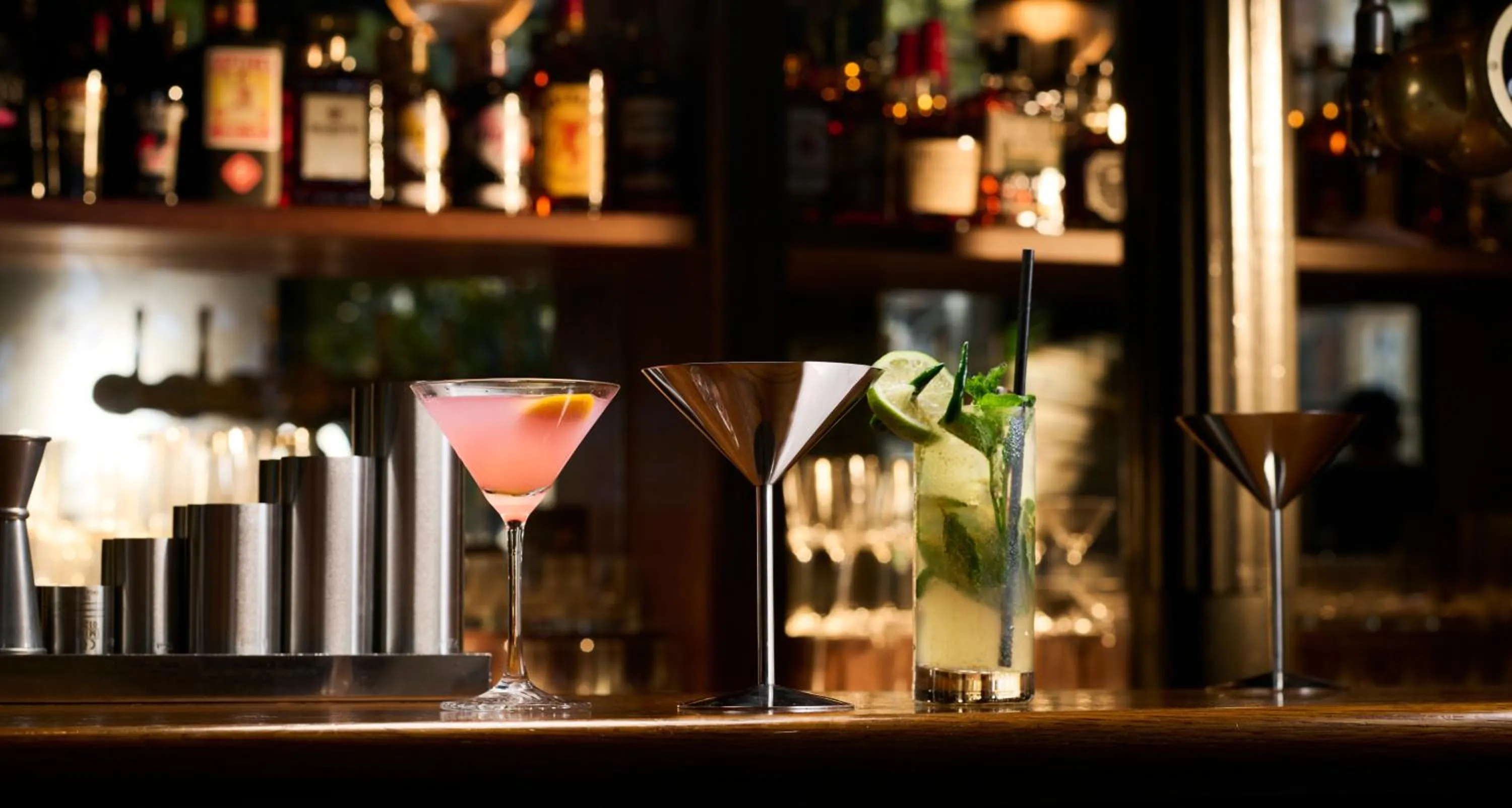 THE KNIGHT OF NOTTINGHILL