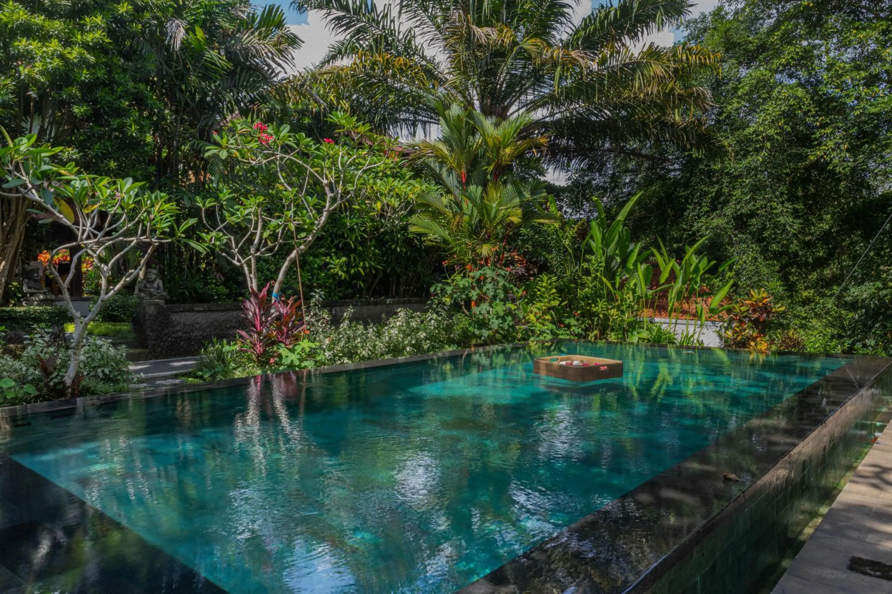 Swimming pool in Sari Bamboo Villas