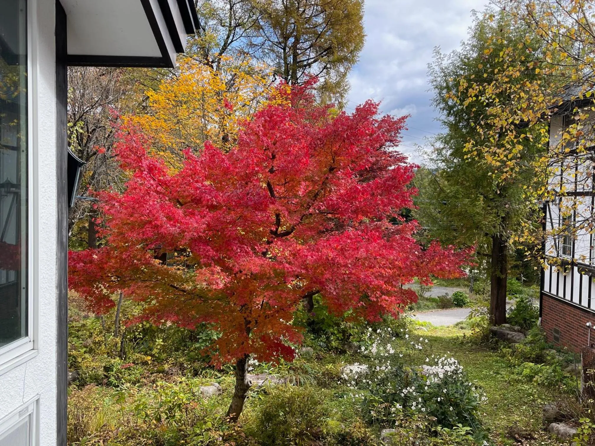 Garden in Hotel Sejour Mint in Hakuba