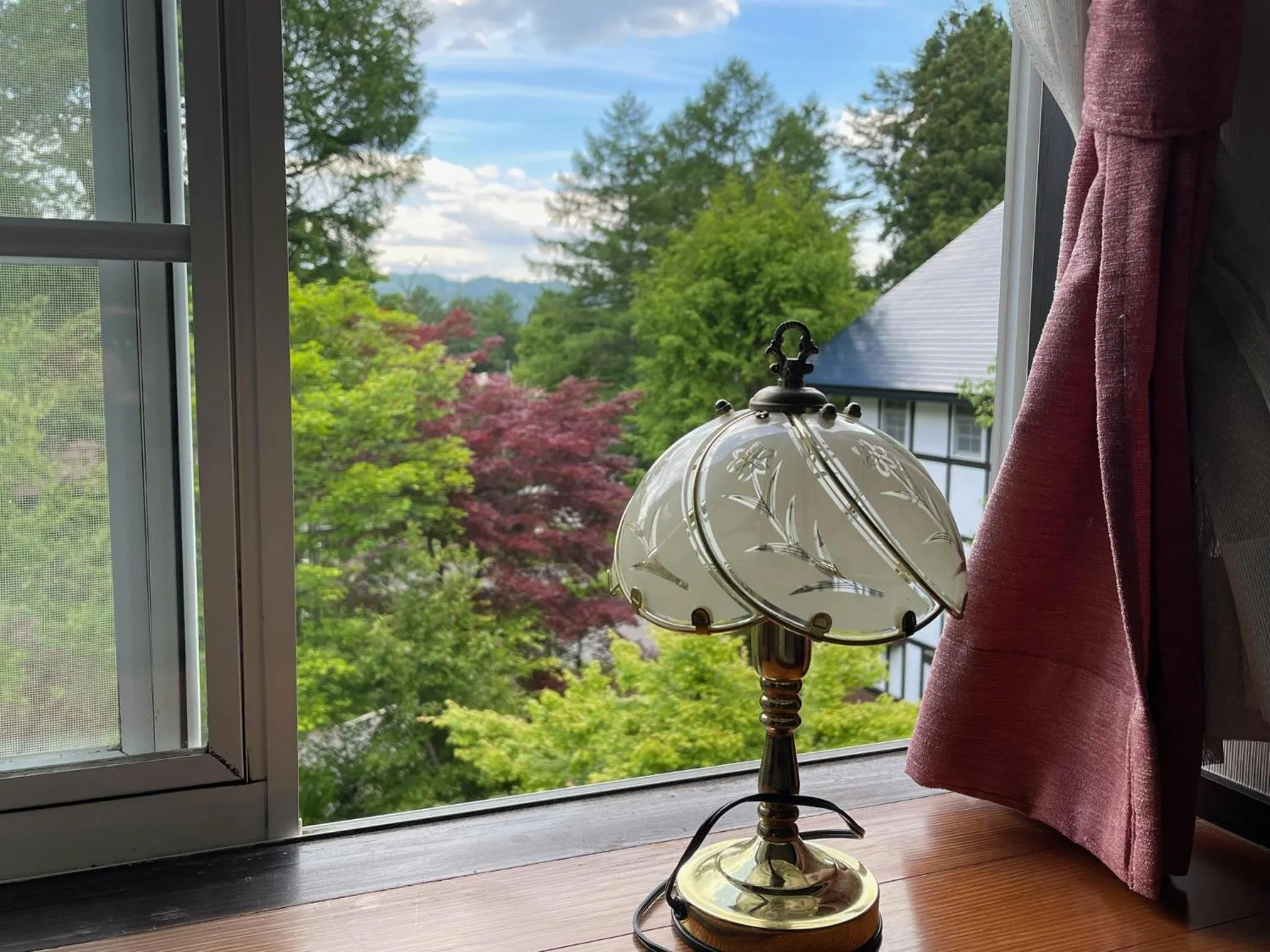 Natural landscape in Hotel Sejour Mint in Hakuba