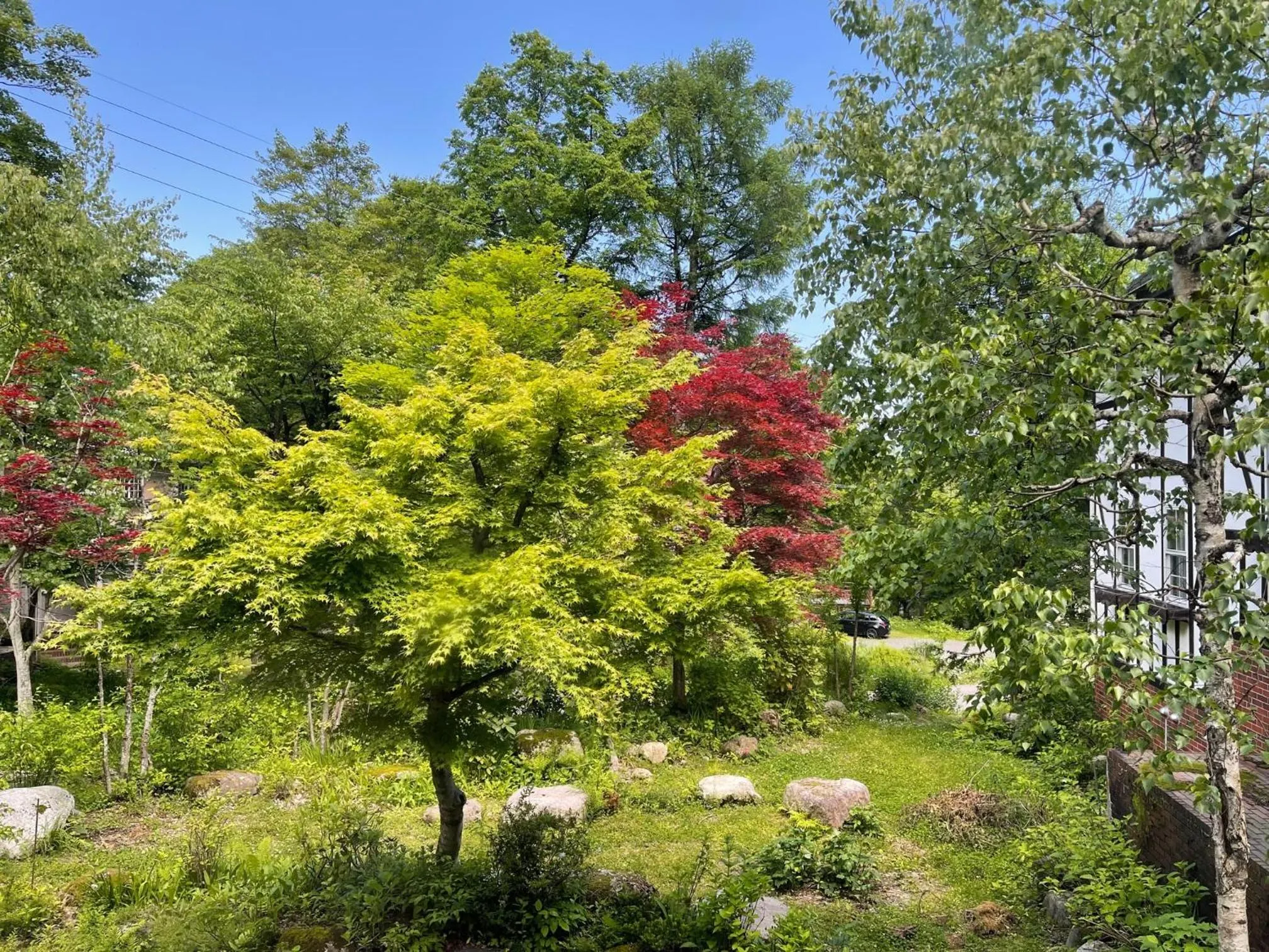 Spring in Hotel Sejour Mint in Hakuba