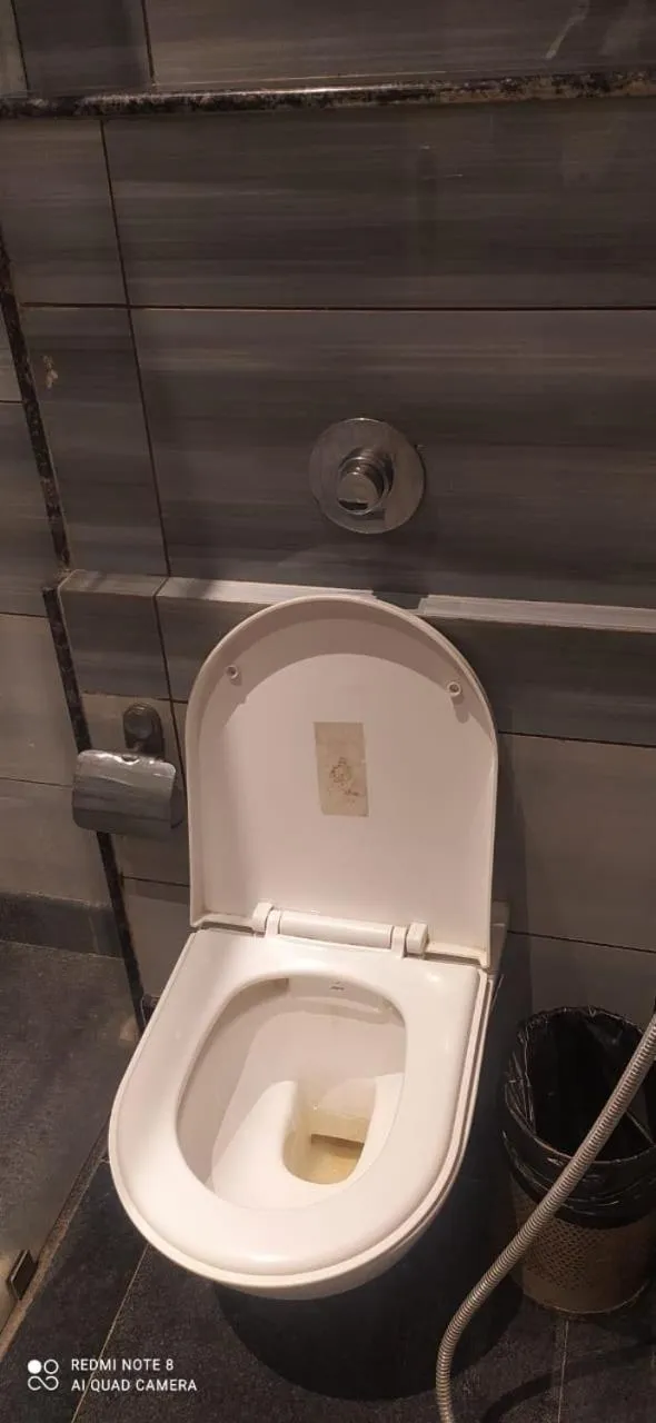 Toilet in Hotel Atlantis