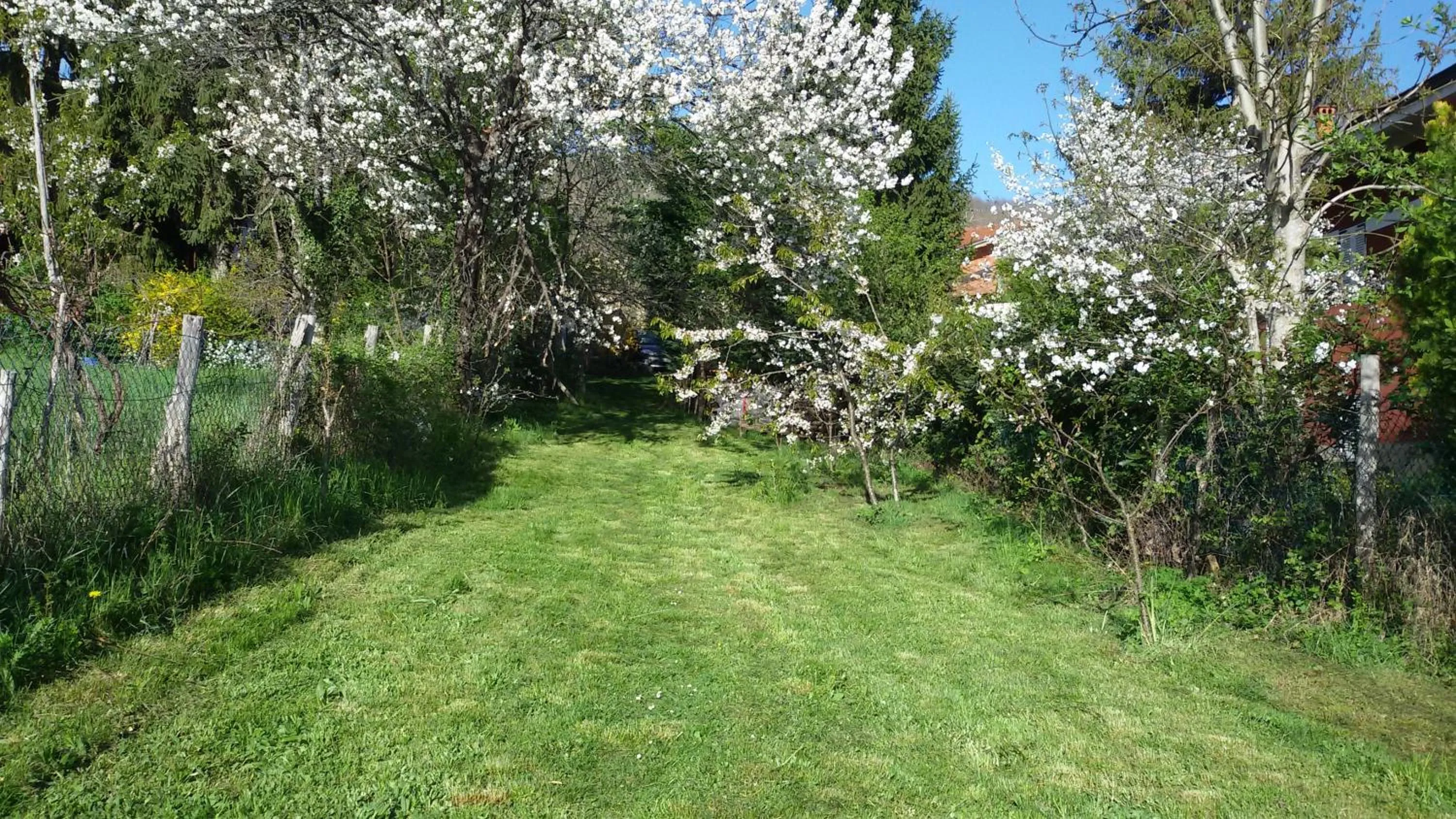 Property building in Borgoeden