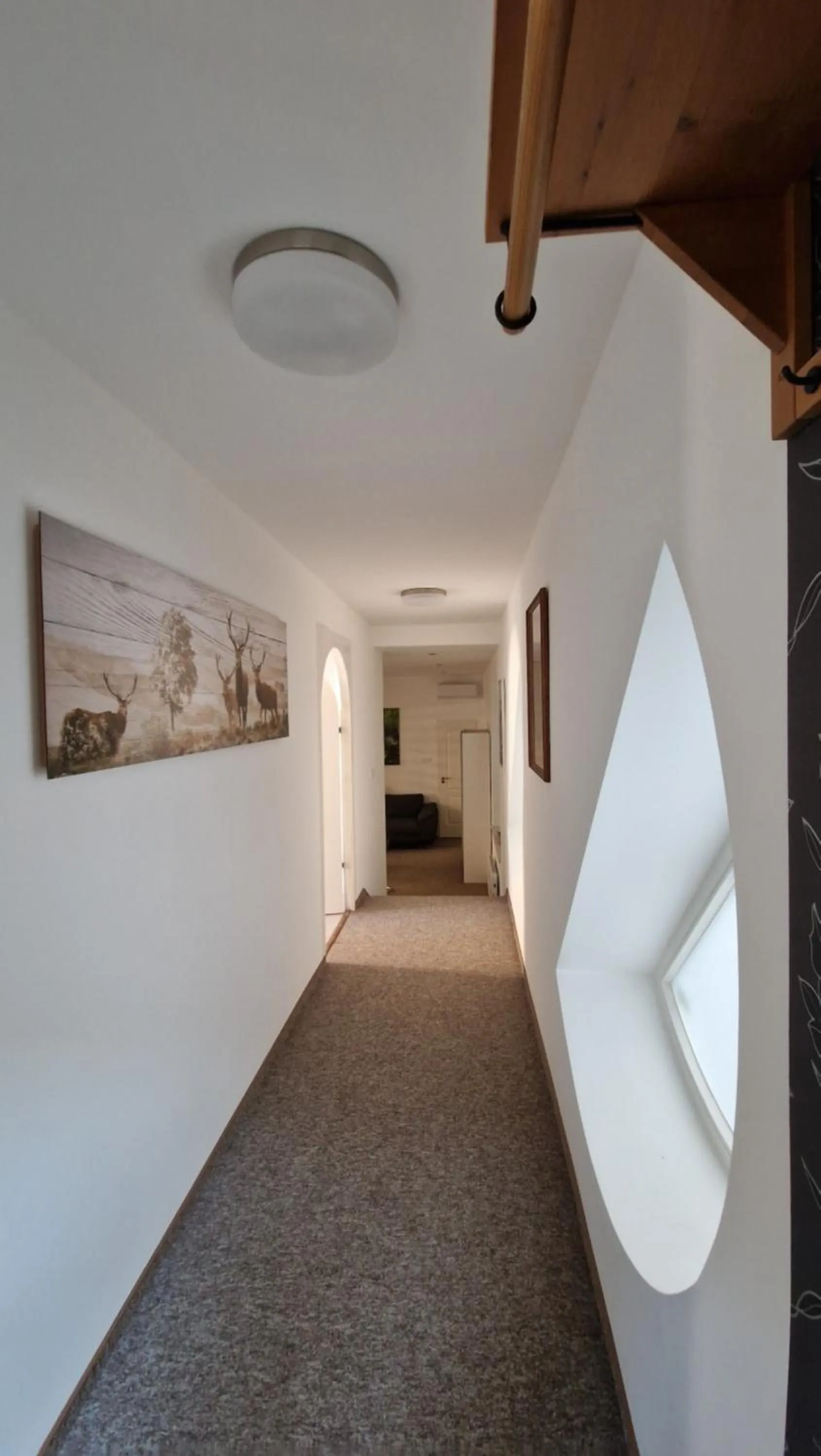 River view in Red Lion Pub & Apartments Szentendre