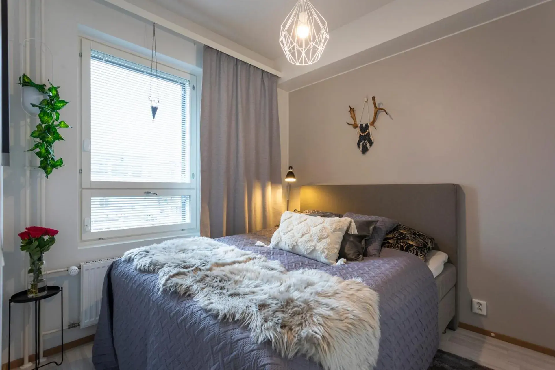 Vasko luxurious suites, Soilu Vasko luxurious suites, Soilu