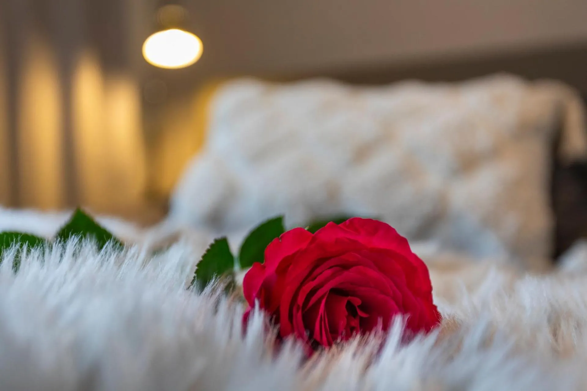Bed in Vasko luxurious suites, Soilu