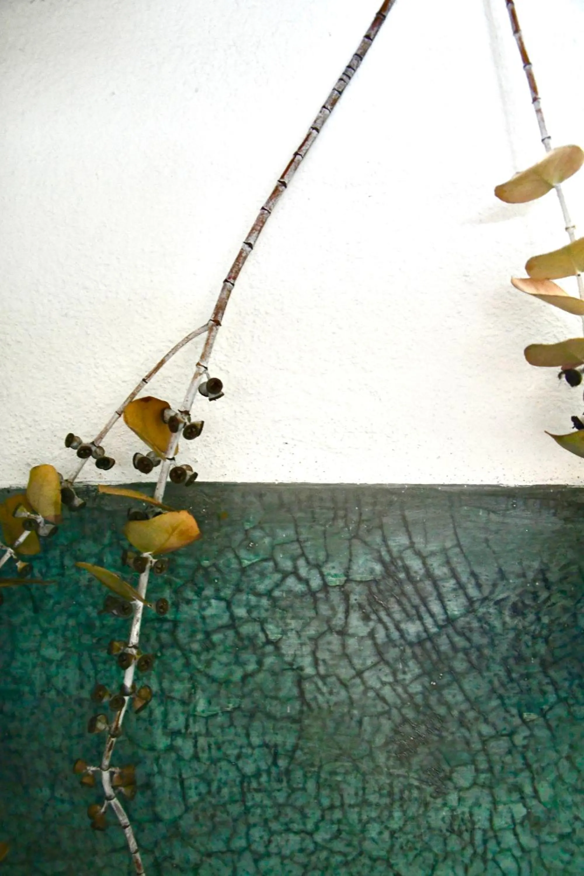 Decorative detail in Tal Vez Boutique Hotel