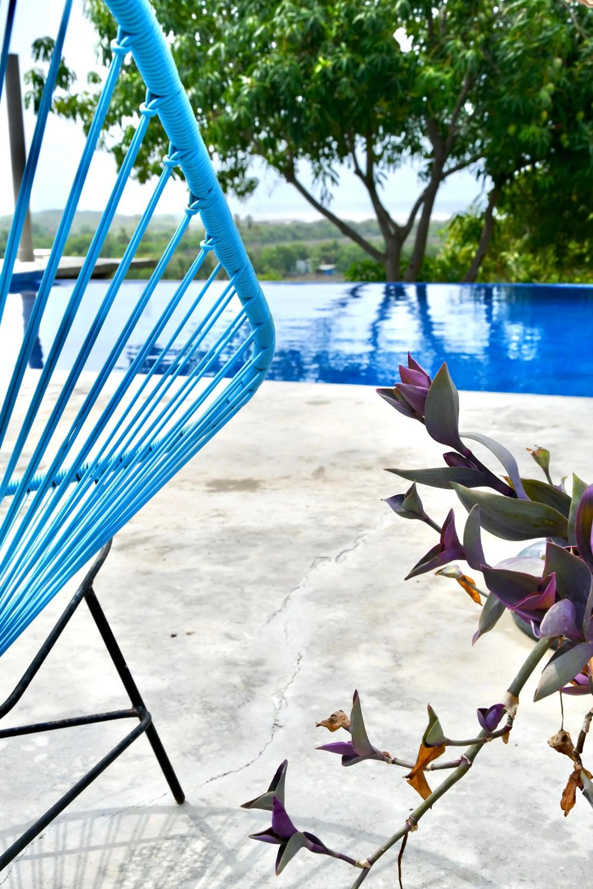 Day in Tal Vez Boutique Hotel