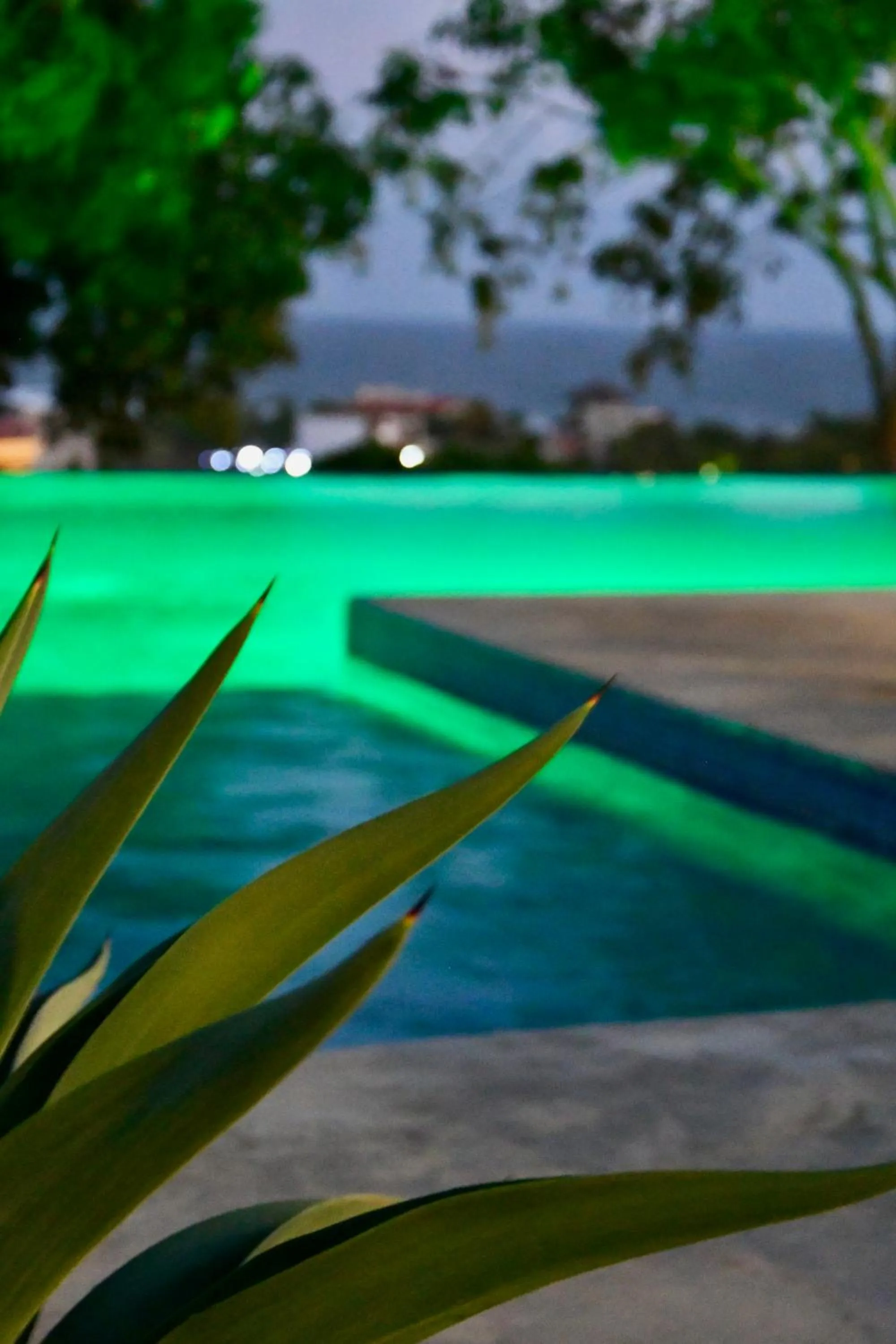 Pool view in Tal Vez Boutique Hotel
