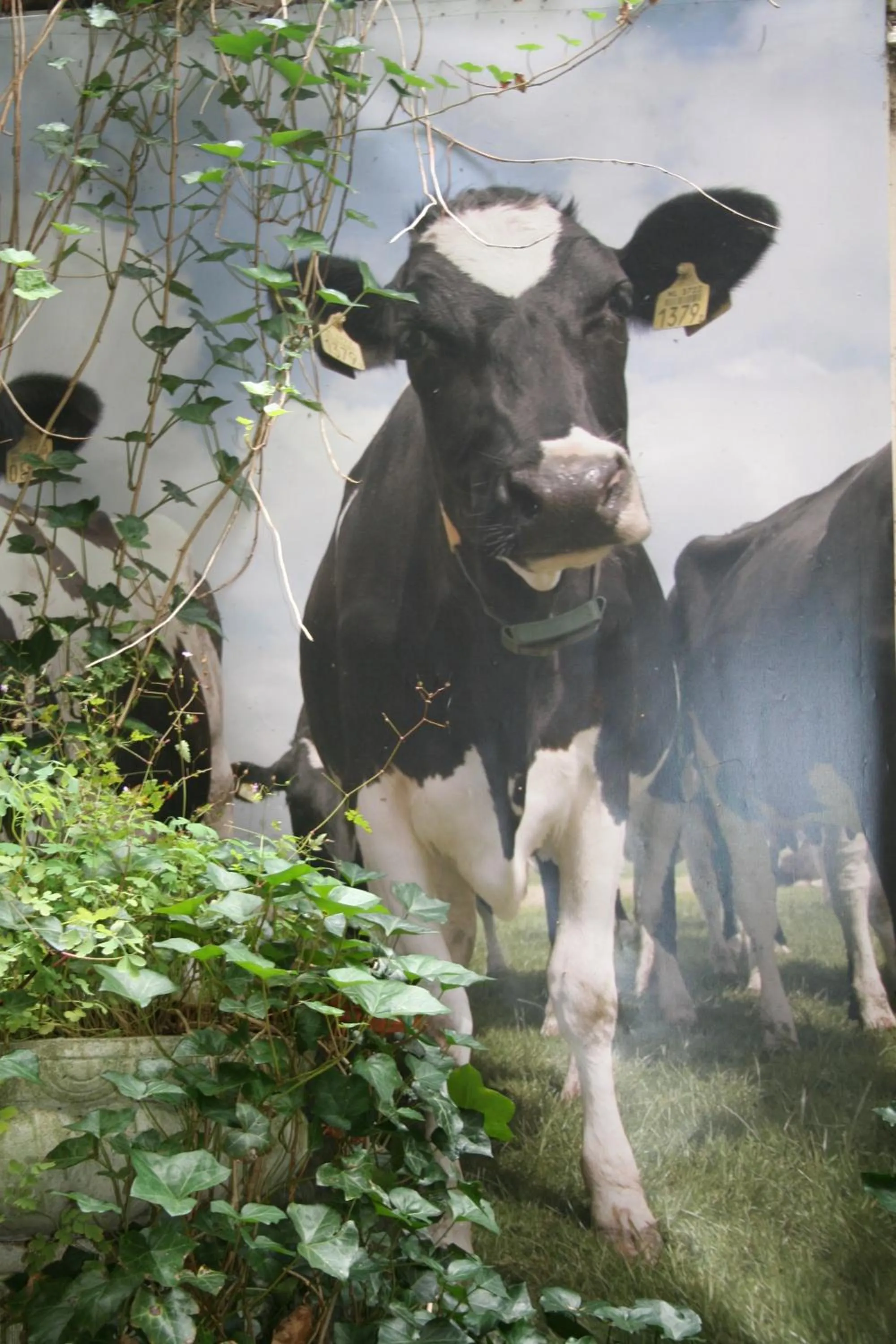 Decorative detail in Bicycle Hotel Amsterdam