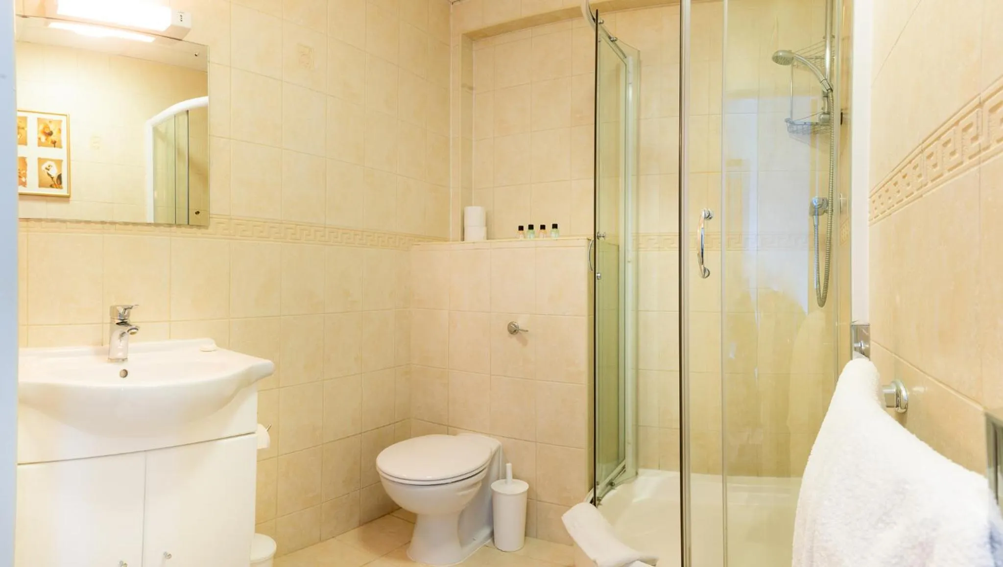 Shower in Hotel Ambassadeur