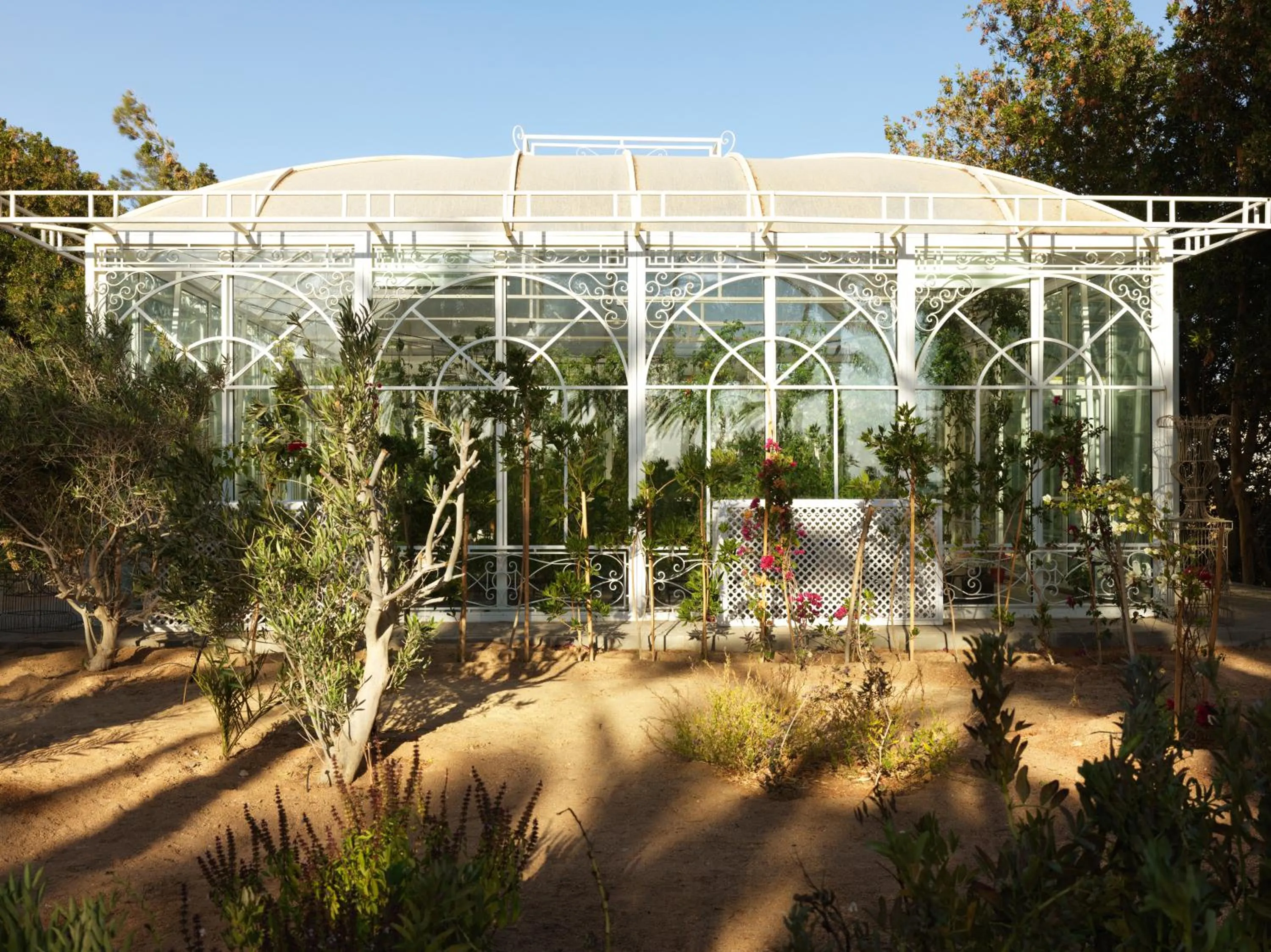 Garden in La Maison Bleue El Gouna