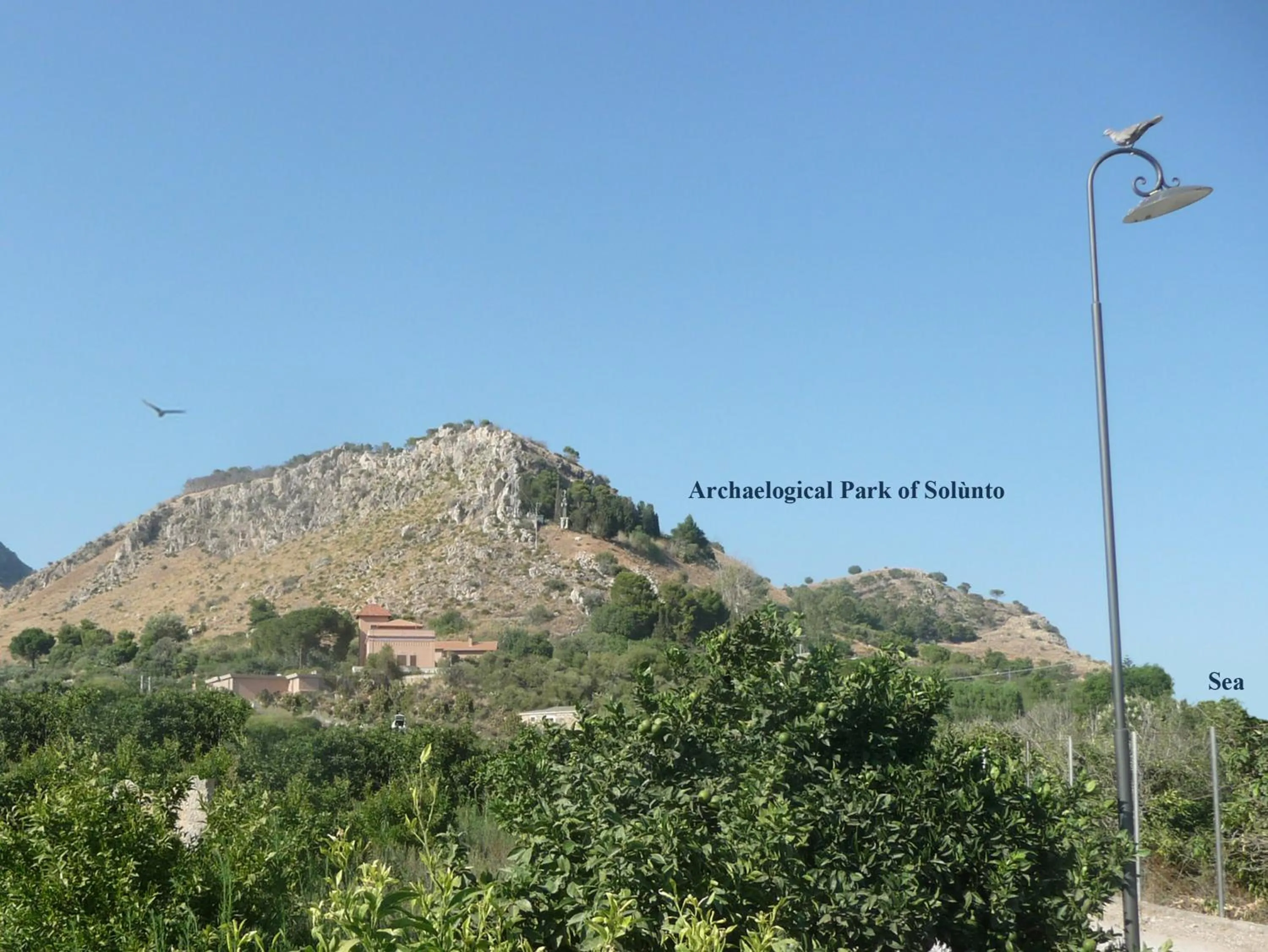 Nearby landmark in Villa Paladino Solunto