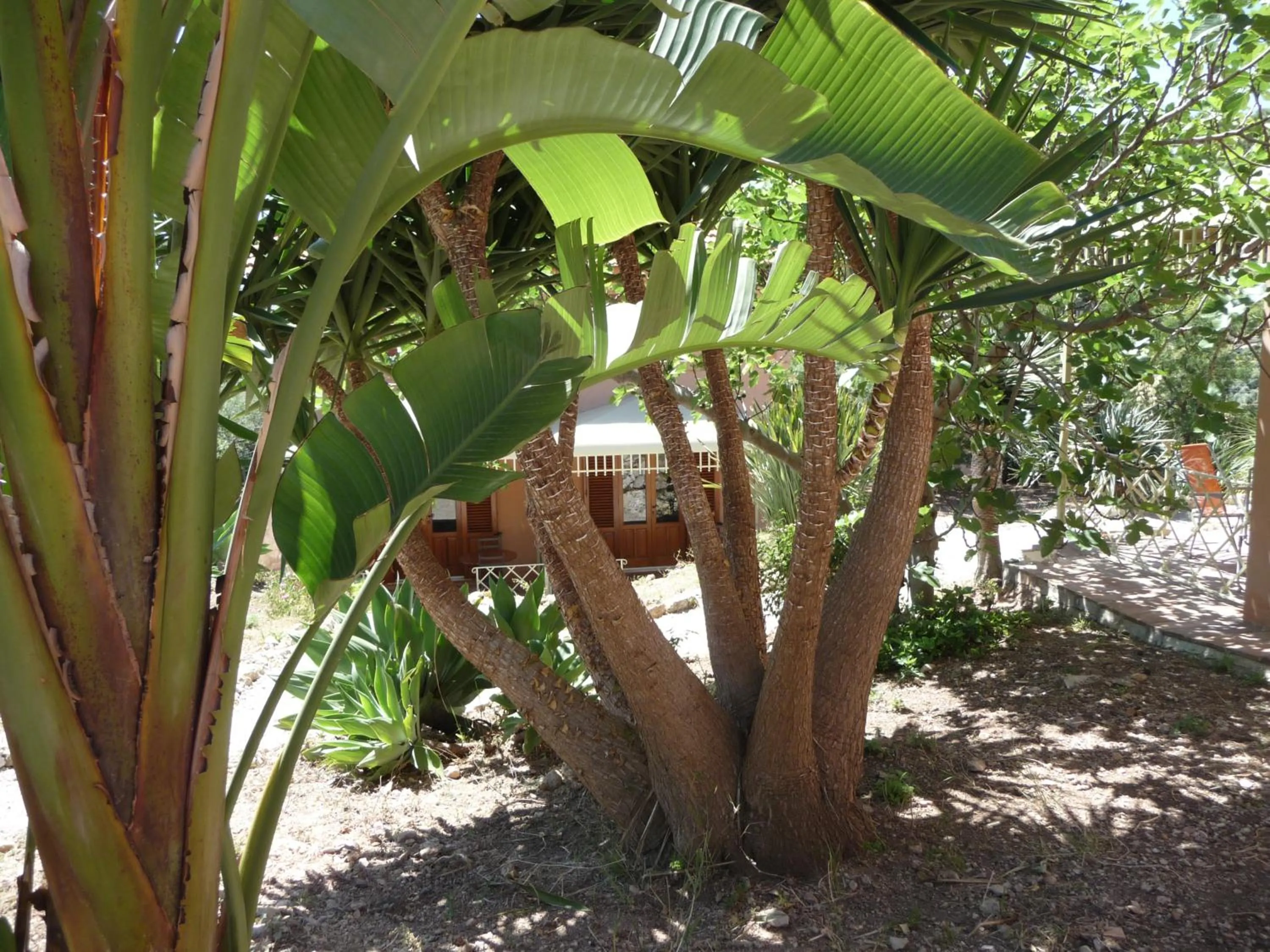 Garden in Villa Paladino Solunto