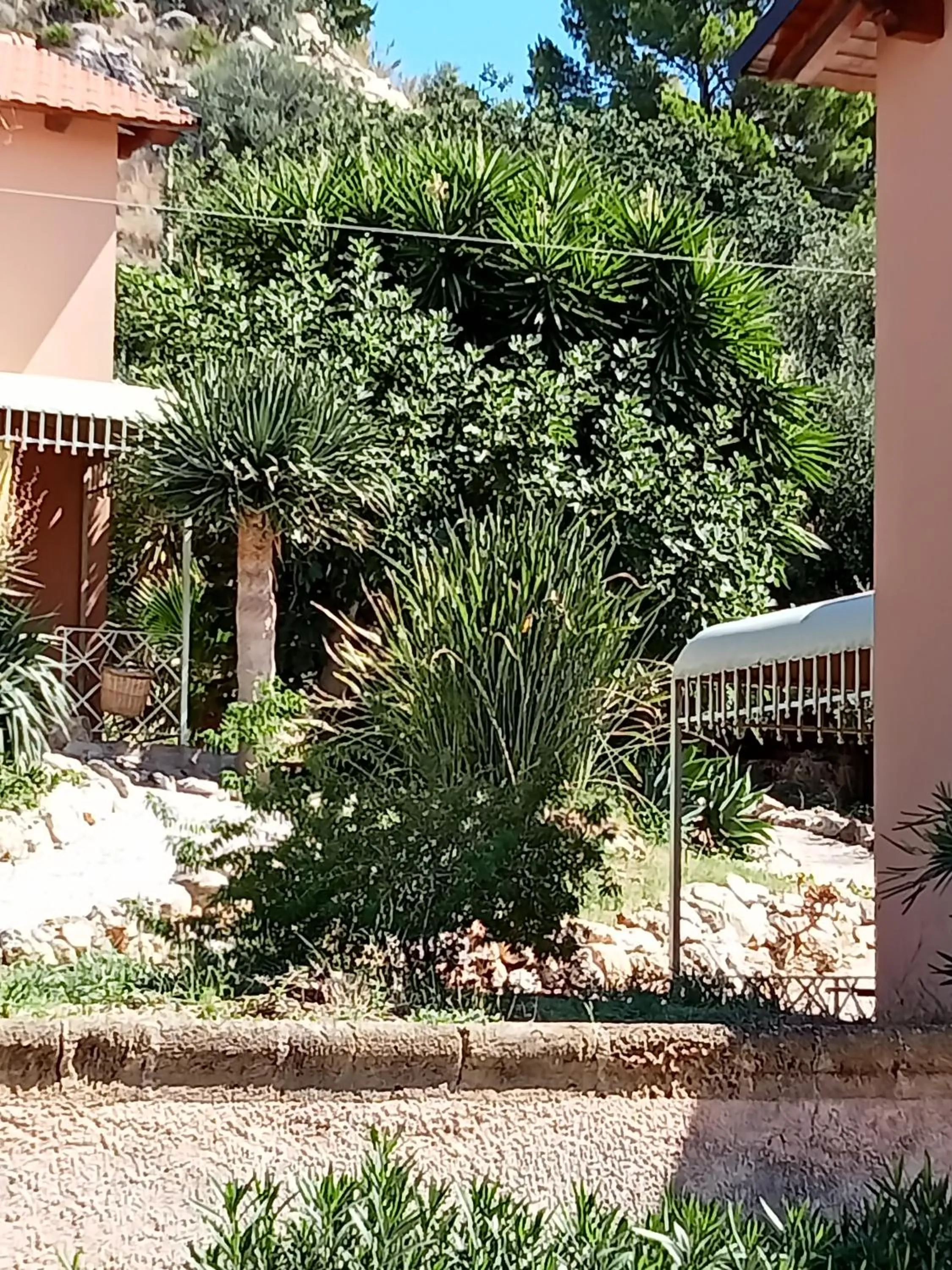 Garden in Villa Paladino Solunto