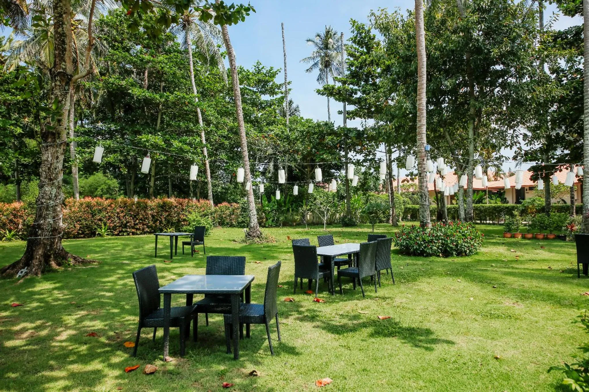 Natural landscape in Blue Bay Resort - Access to Pool and Beach-Phuket & Krabi