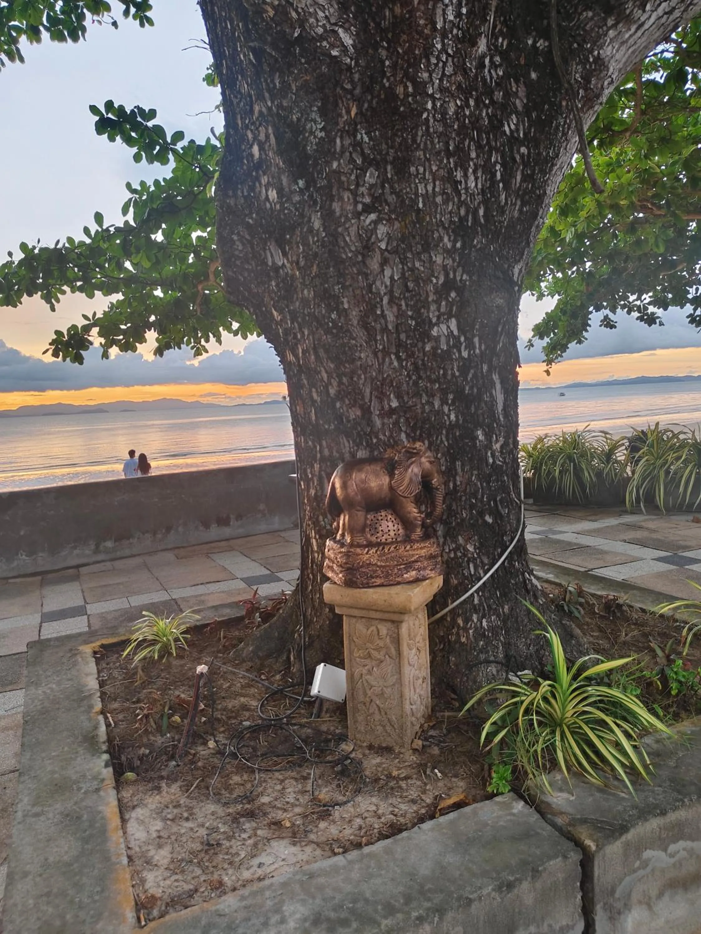 Property building in Blue Bay Resort - Access to Pool and Beach-Phuket & Krabi