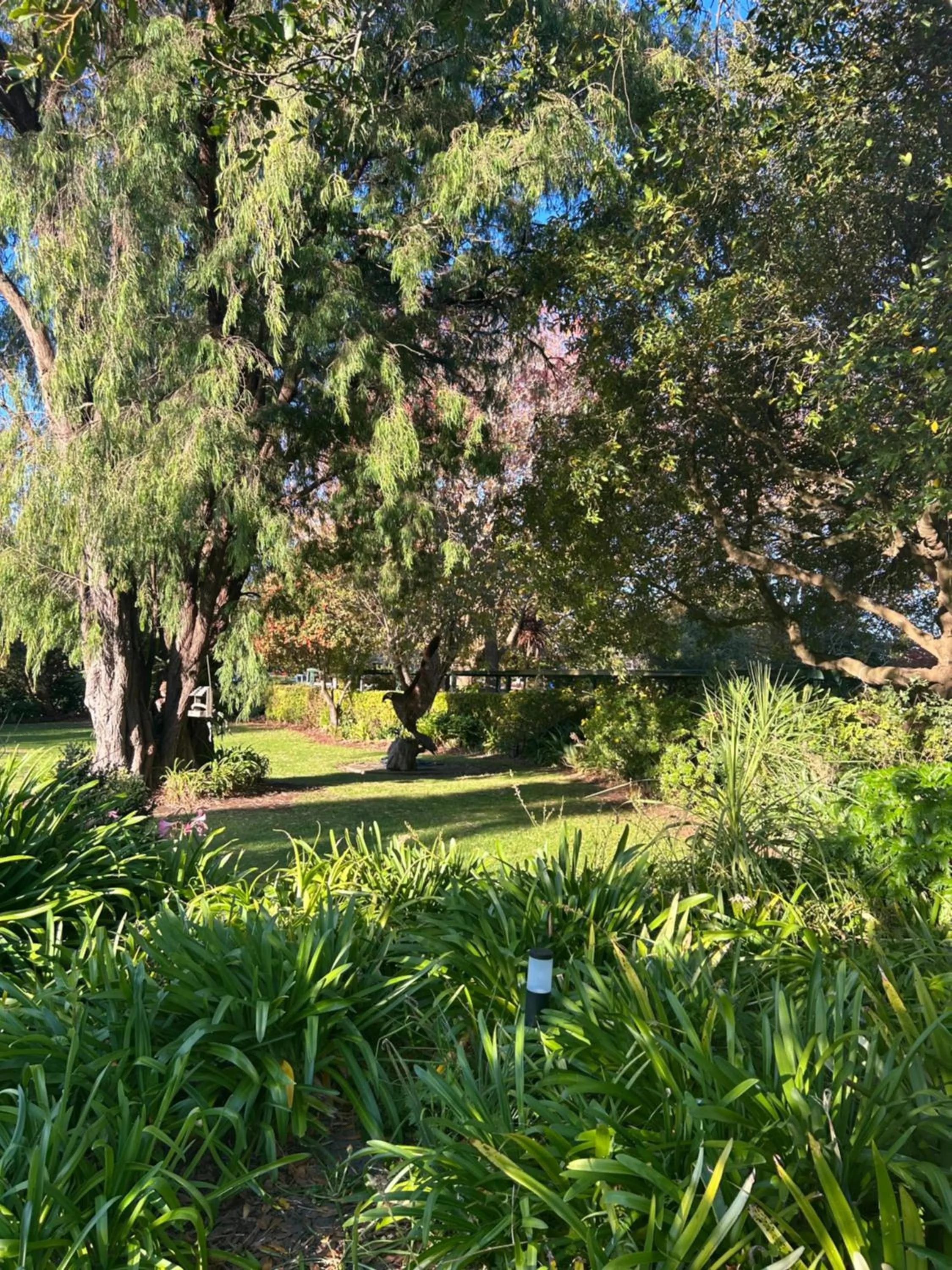 Day in Convent at Koroit