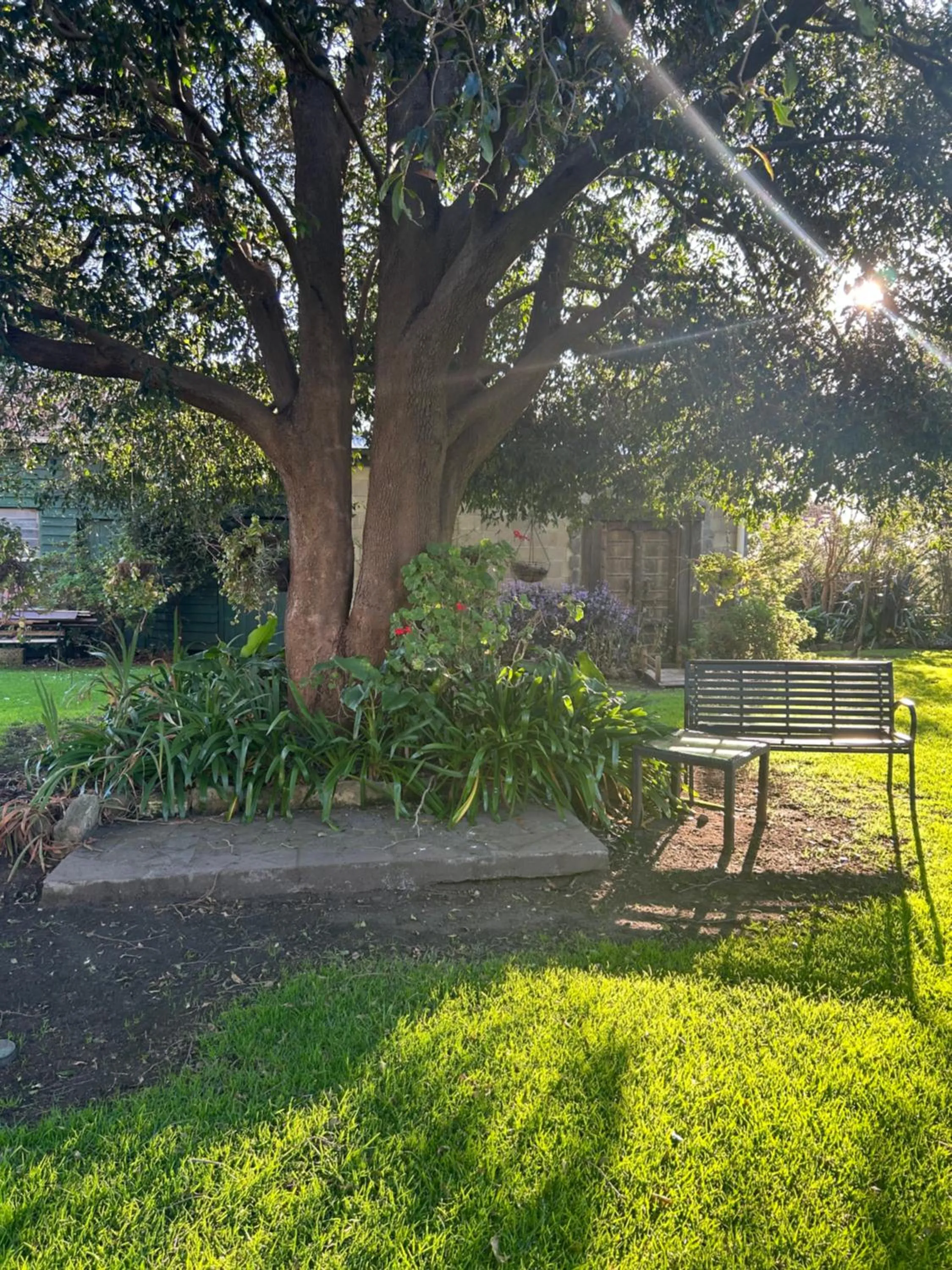 Property building in Convent at Koroit