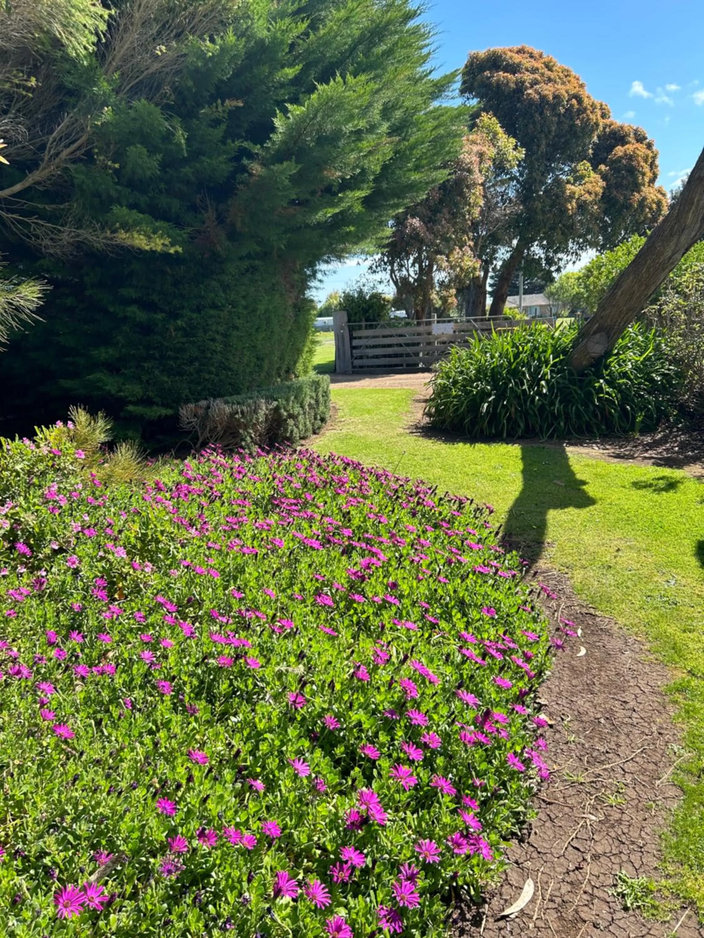 Spring in Convent at Koroit