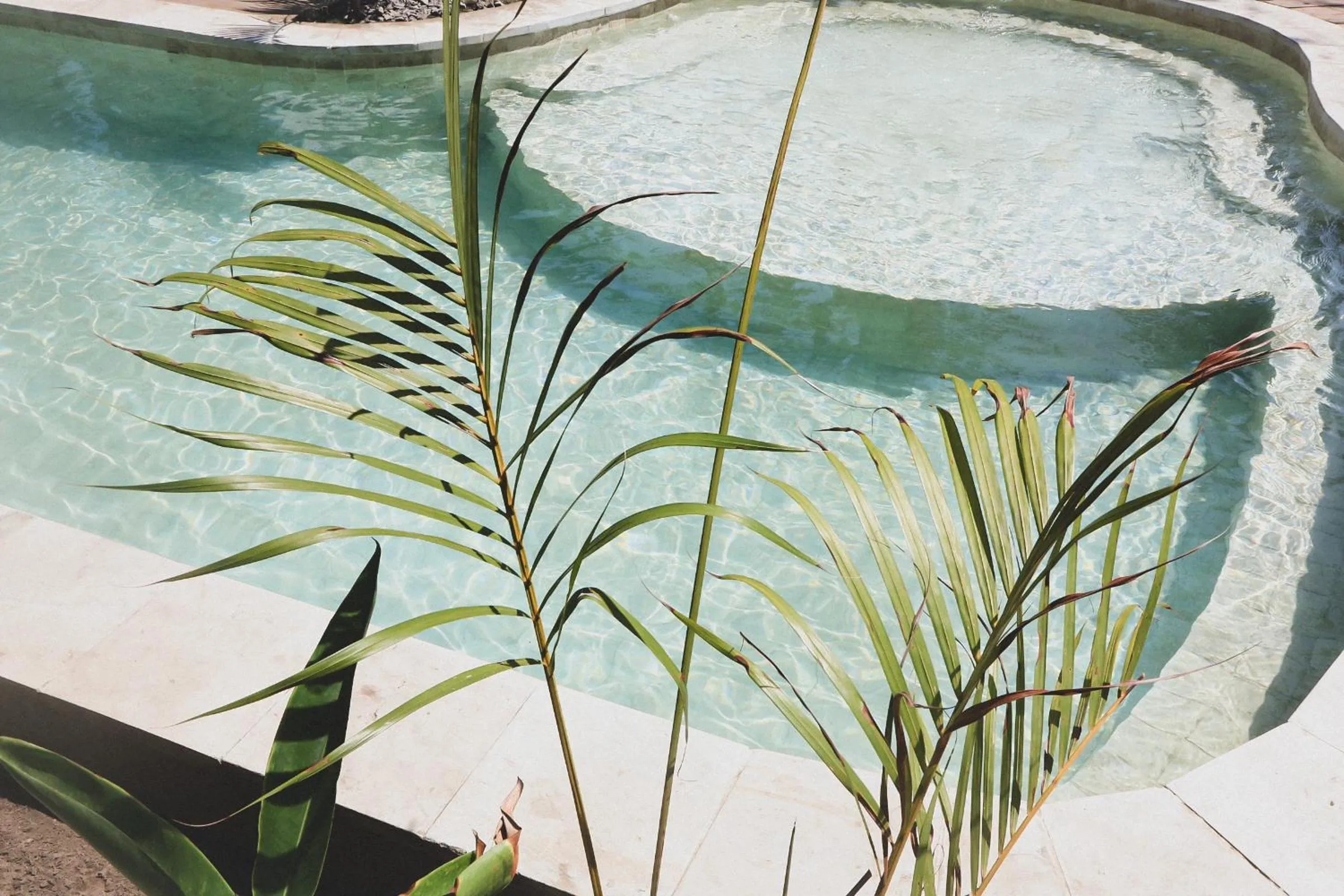 Property building in Casa Kapuas