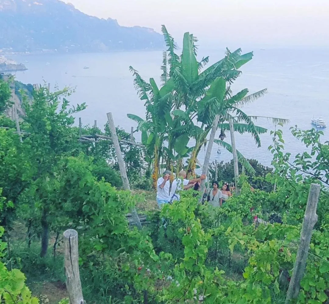 Agriturismo Fuoco D'Amalfi Villa Iazzetta