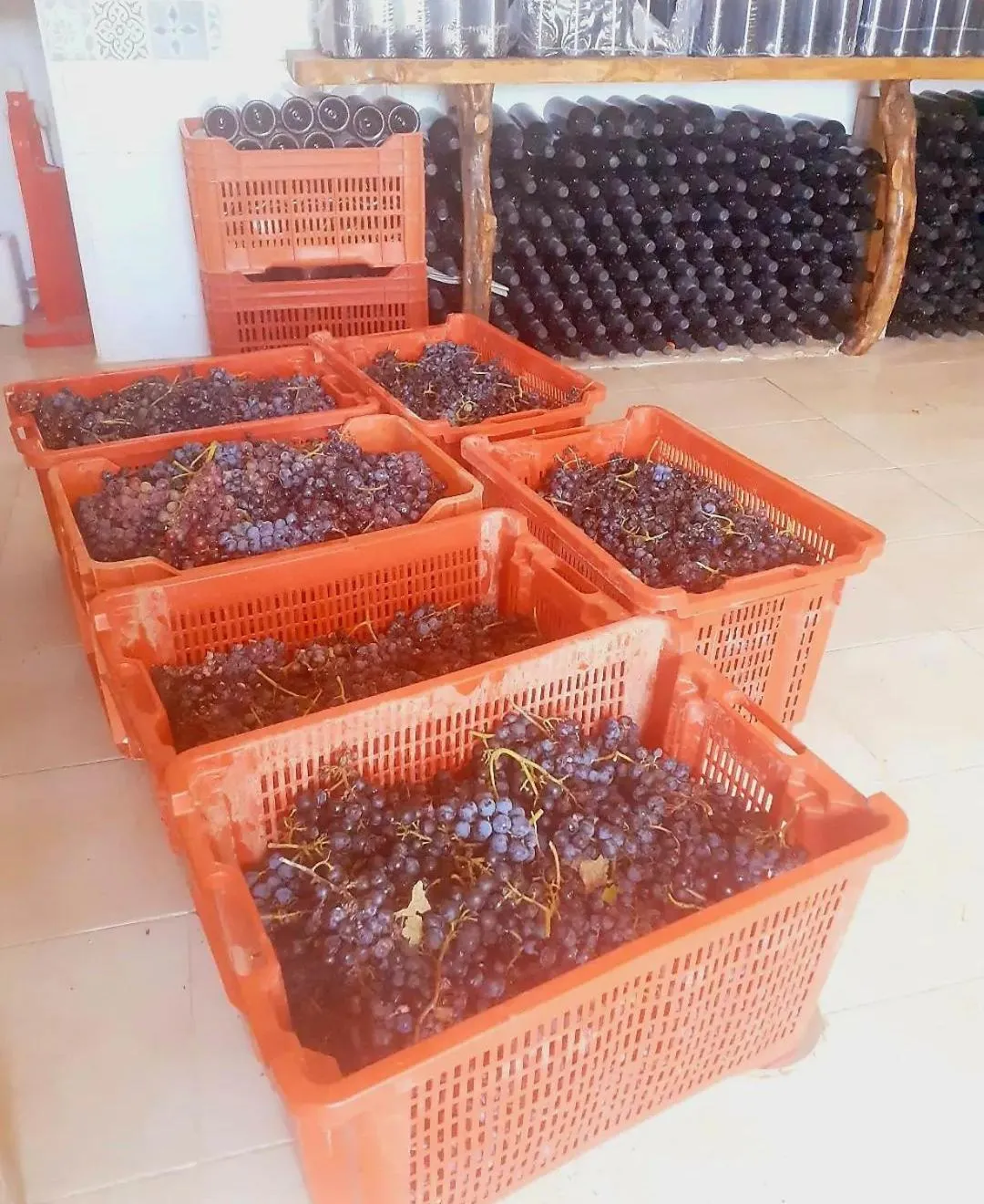 Agriturismo Fuoco D'Amalfi Villa Iazzetta