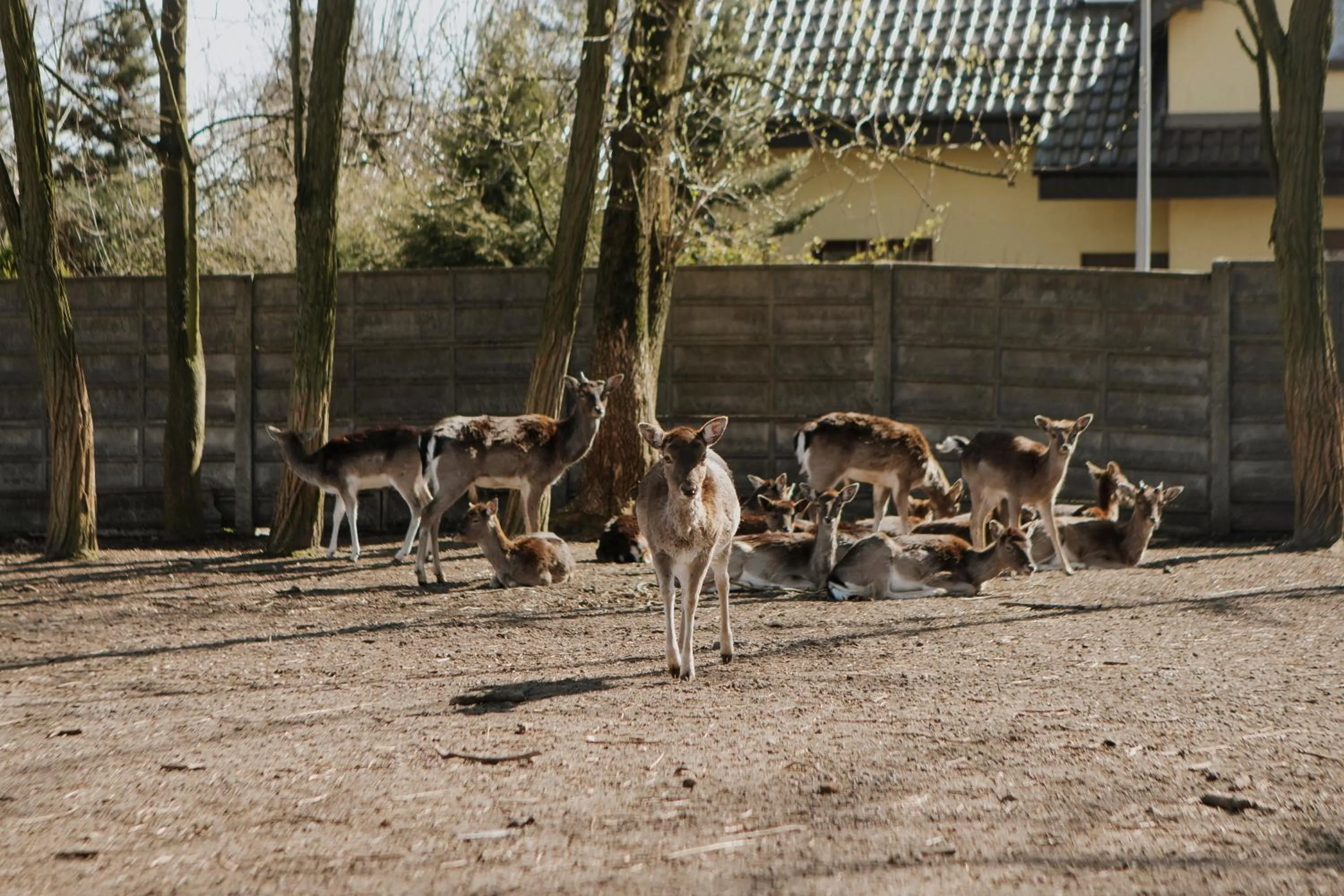 Other in Hotel i Restauracja Borowianka