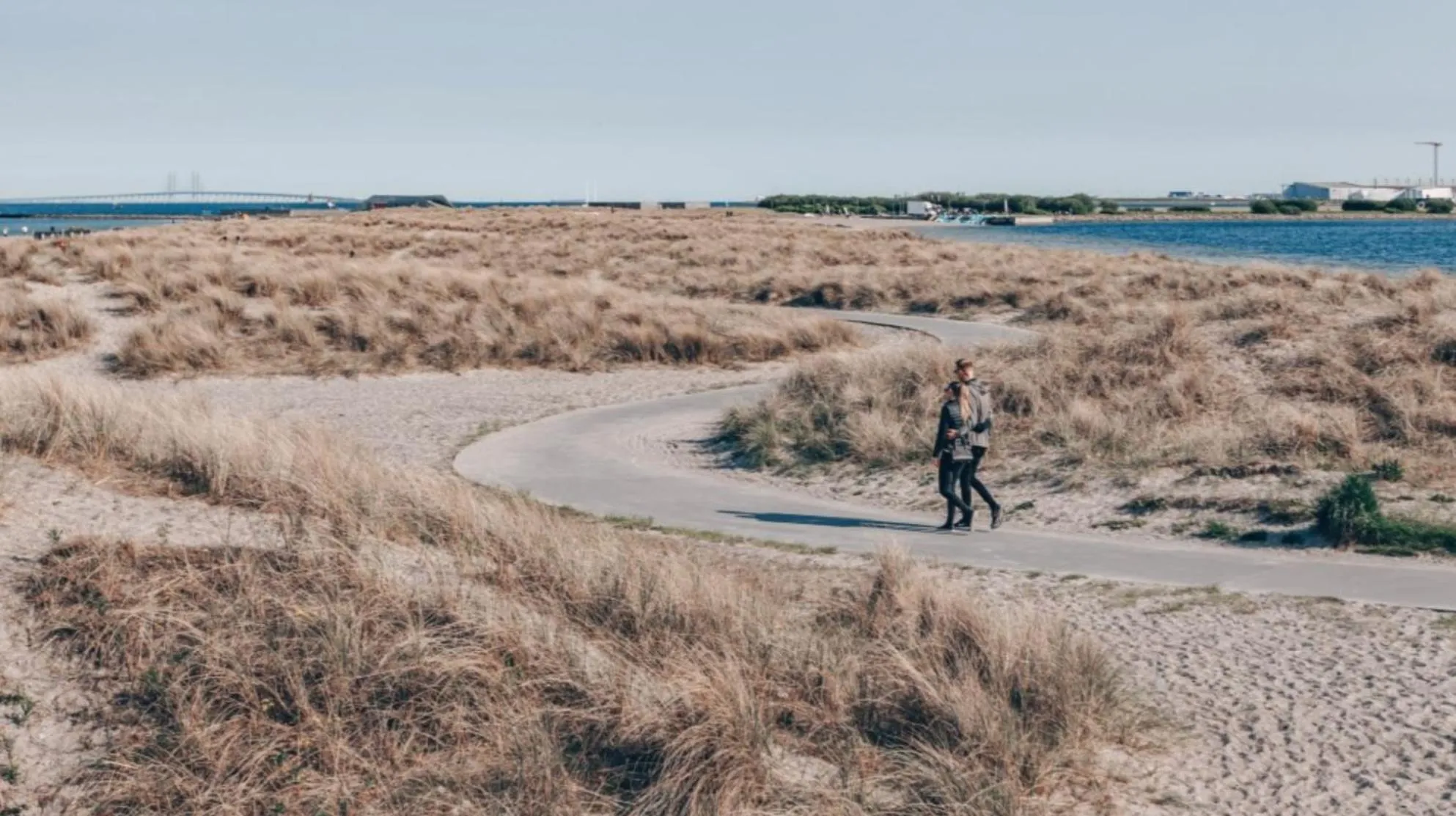 Beach in Beach Trail apartments by Daniel&Jacob's