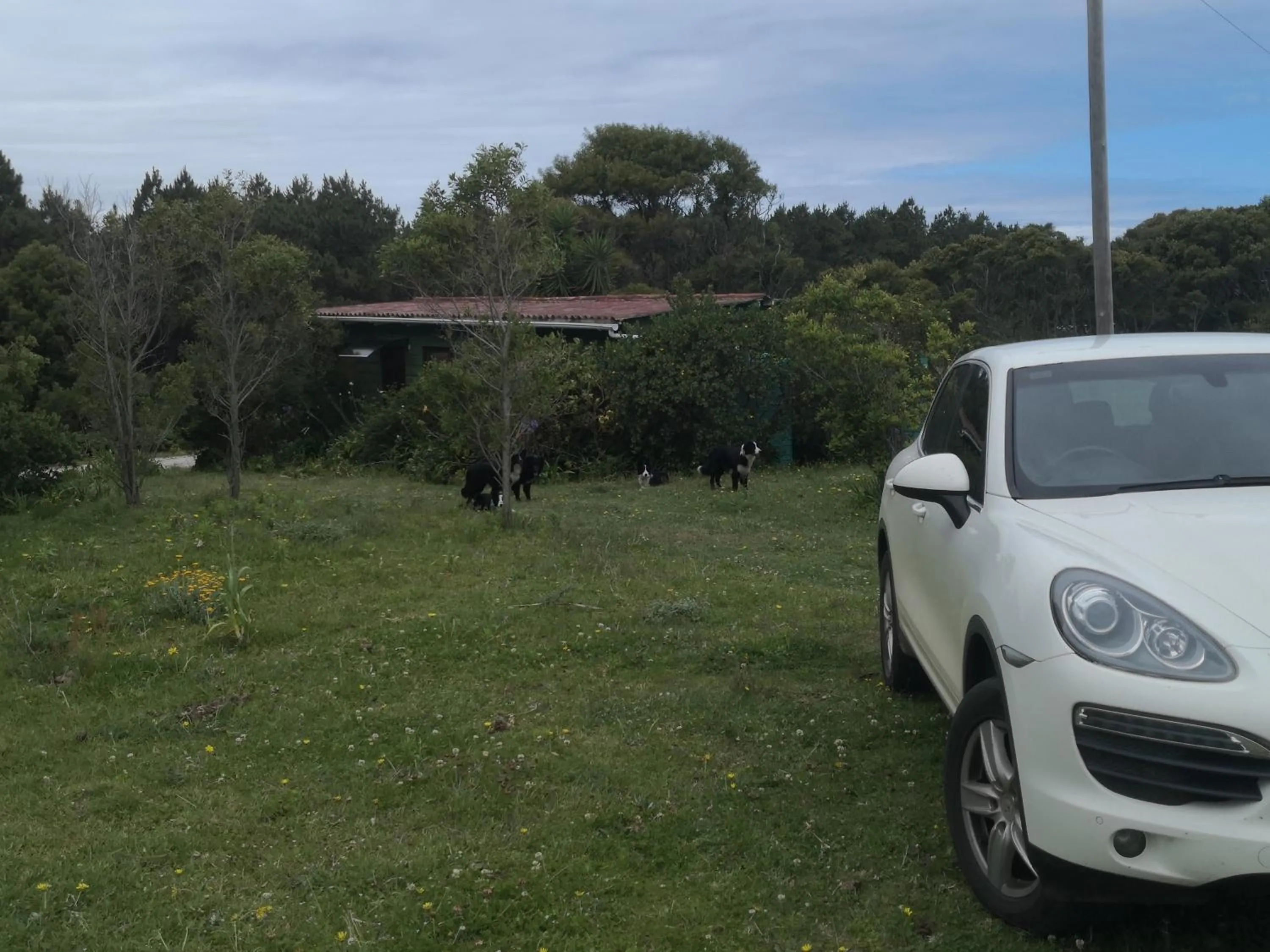 Natural landscape in Tsitsikamma on Sea Self-catering Cottages