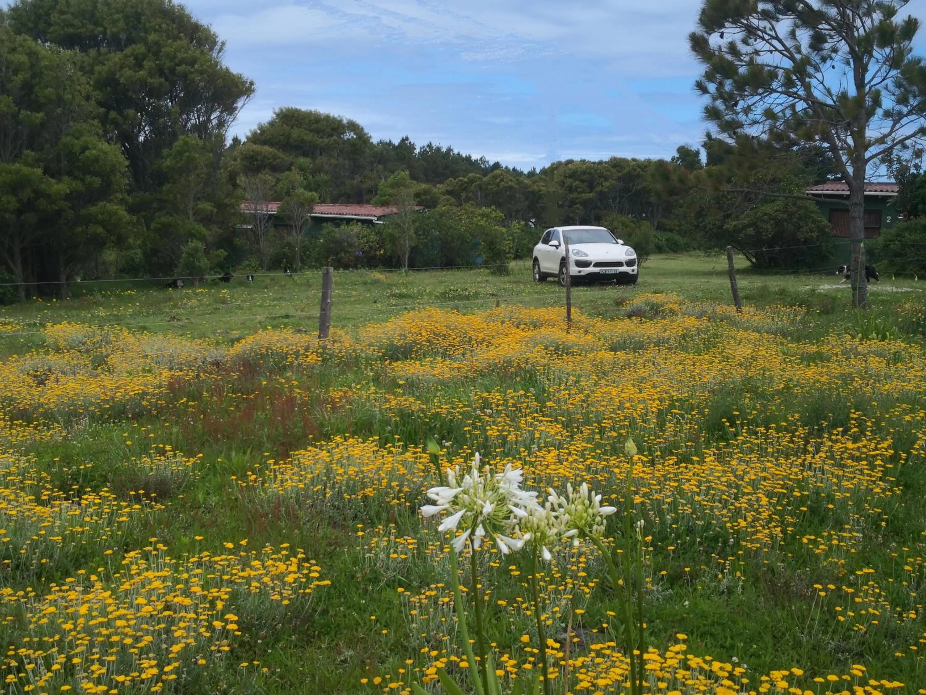 Spring in Tsitsikamma on Sea Self-catering Cottages