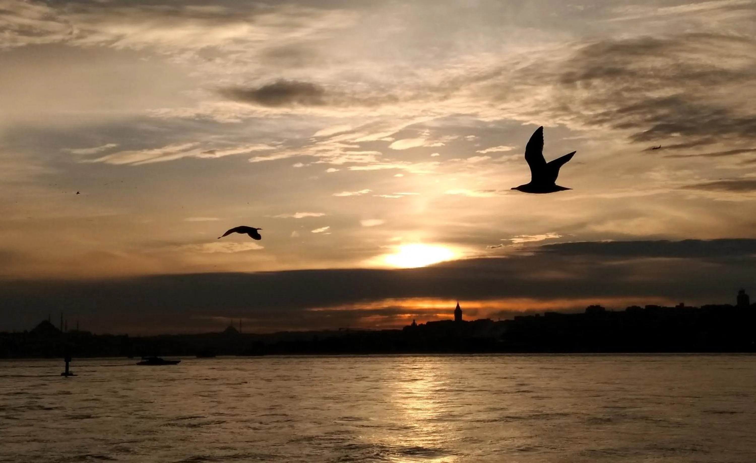 Natural landscape in Just Inn Hotel