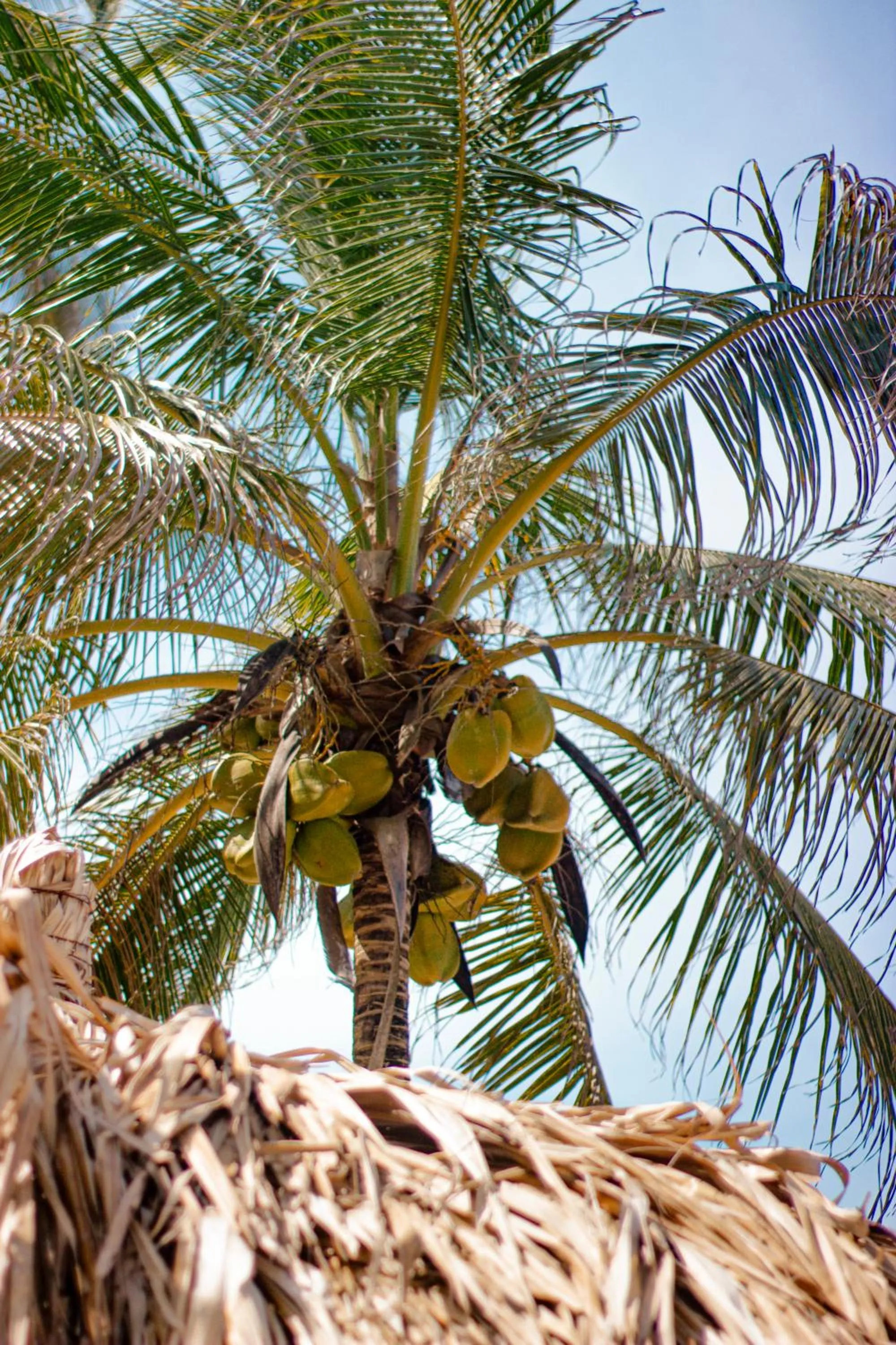 Decorative detail in Hukumeizi