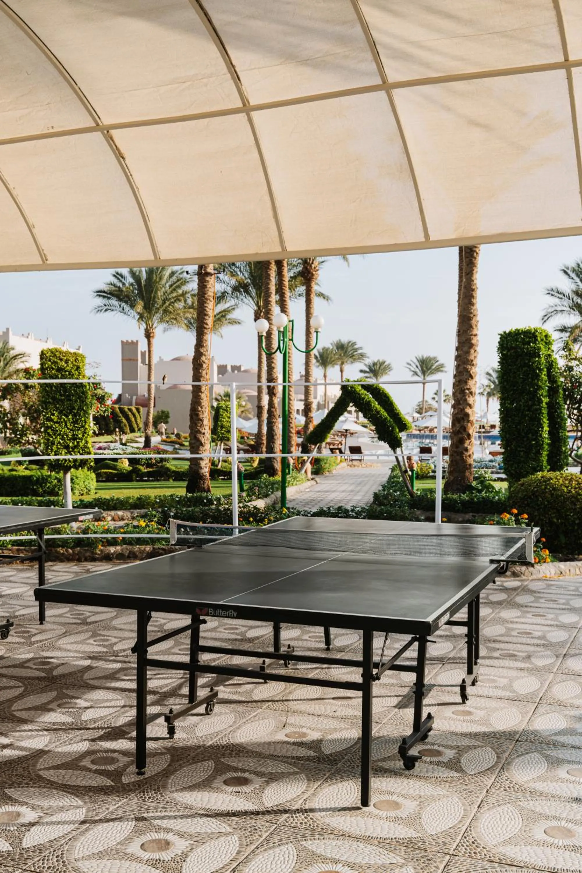 Sports in Sentido Akassia Beach