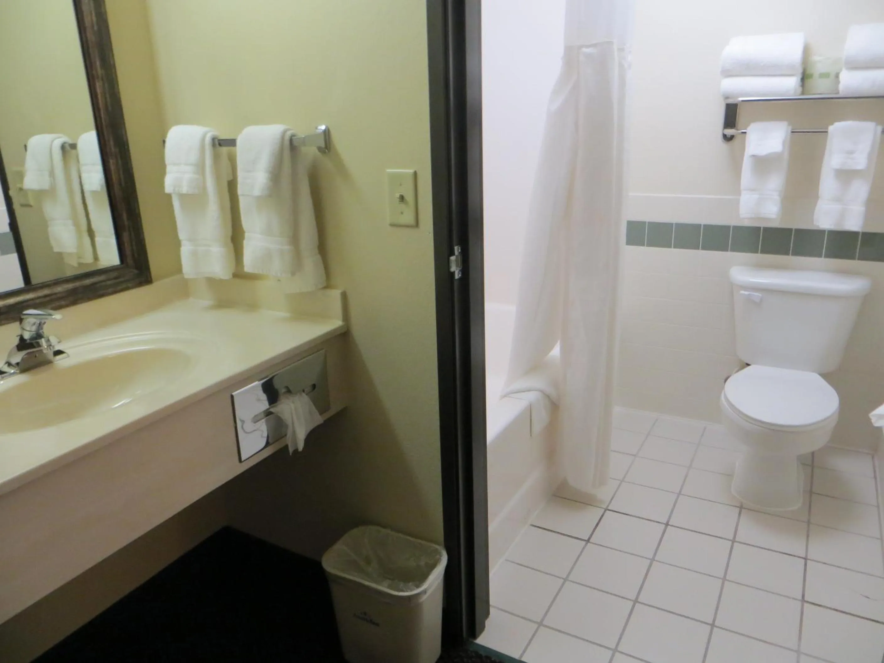 Bathroom in AmericInn by Wyndham Baldwin